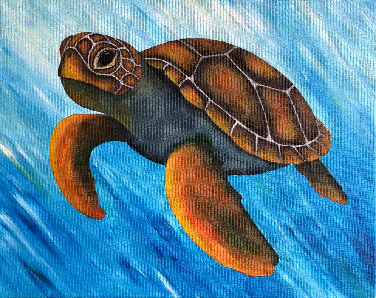 Sea Turtle