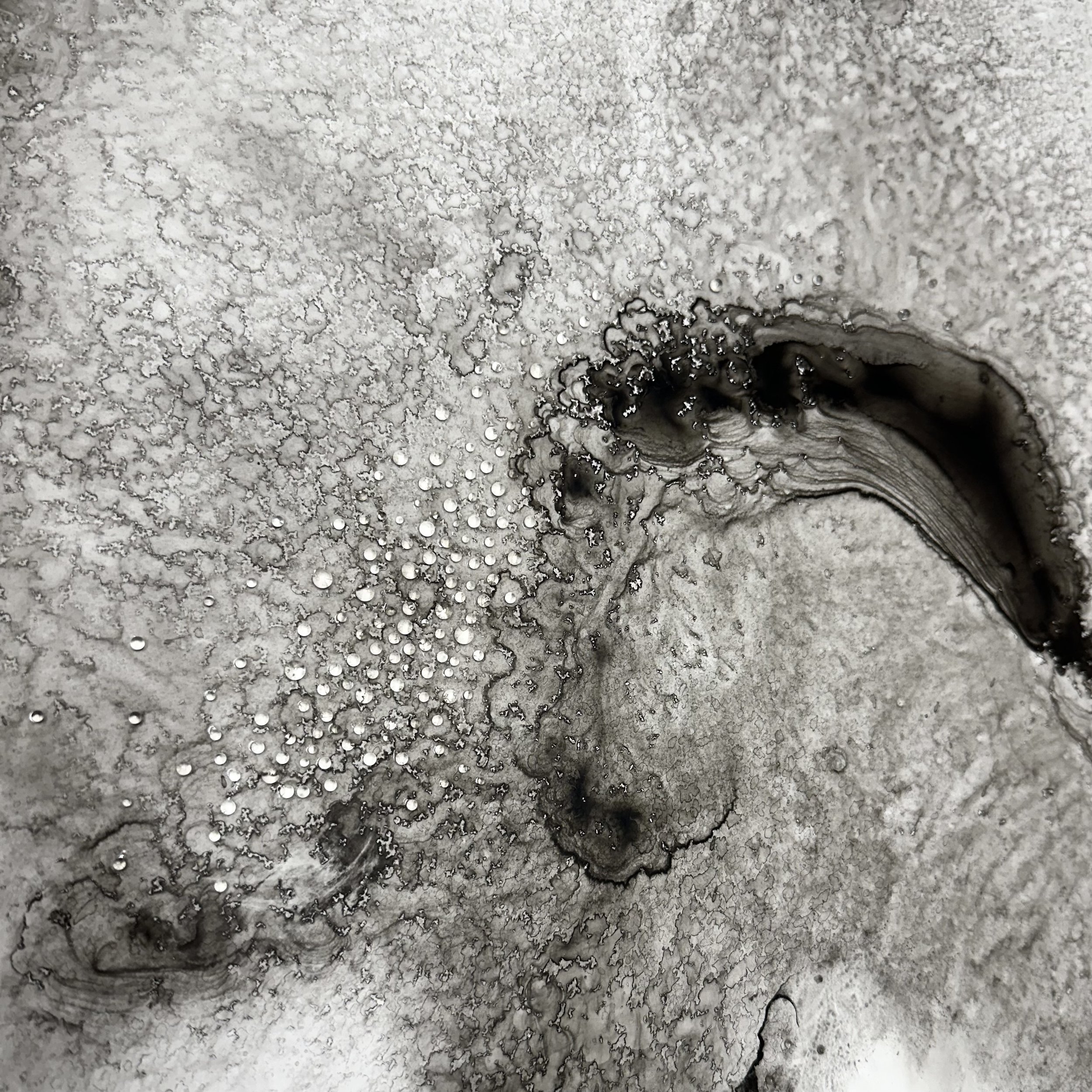 Confluences, 2024 - 🔴 VENDU/SOLD - Collection Desjardins - River water, India ink and glass on Yupo paper - 152 cm x 100 cm - Photo: Michael Patten