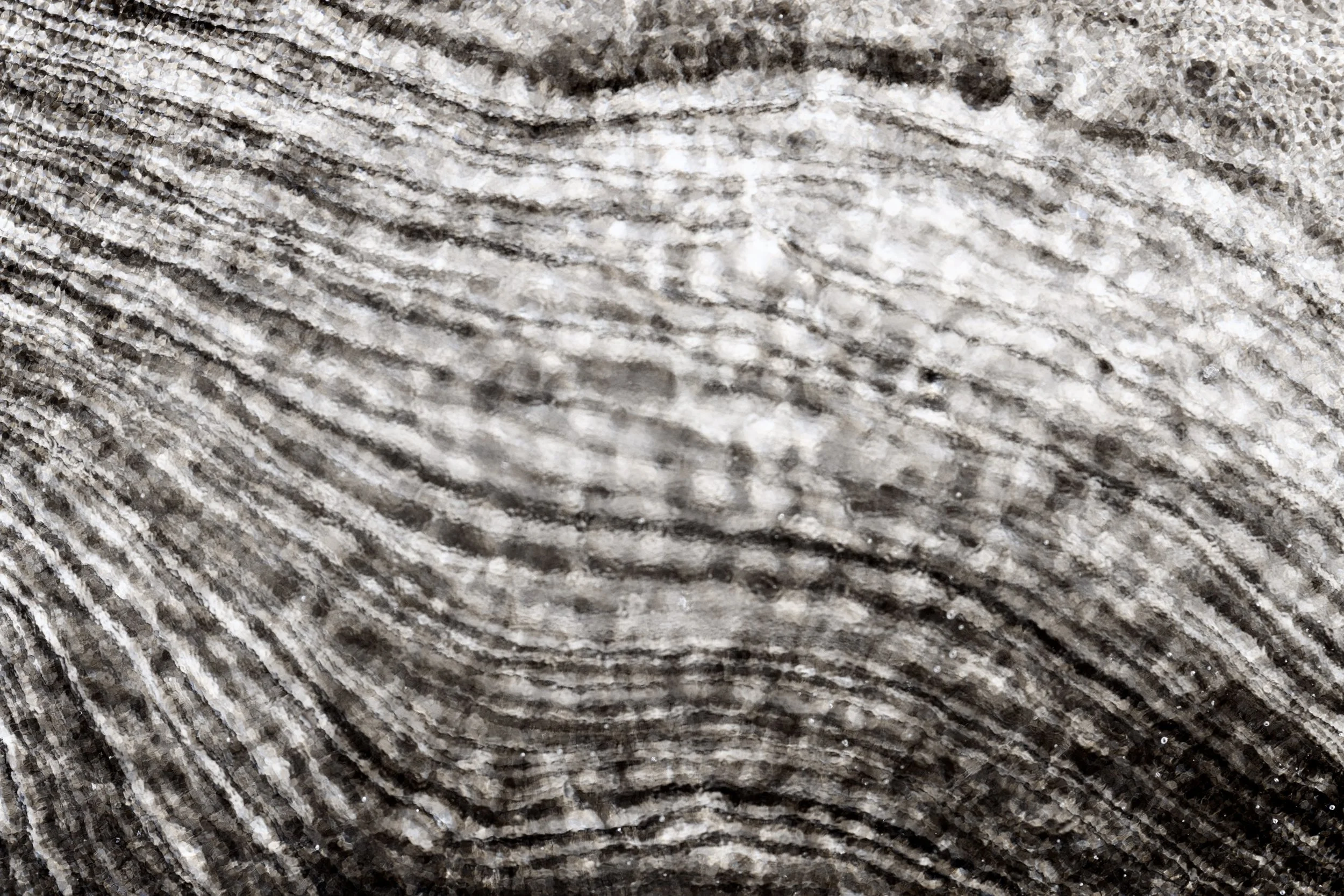 012-Emy Gagnon Gelinas-Entre temps et courants.jpg