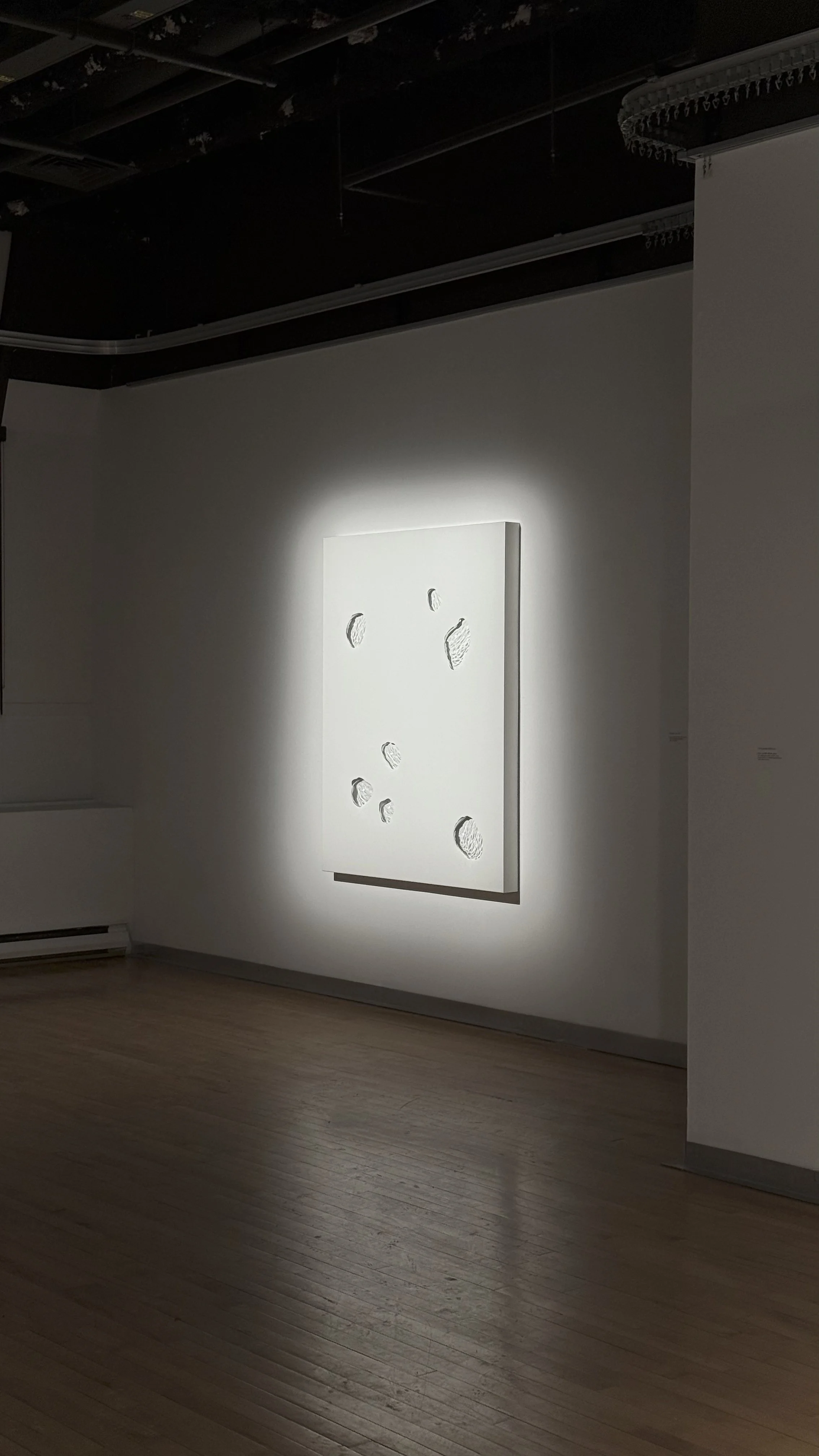 Par temps secs, 2025,
Emy Gagnon Gélinas, Verre thermoformé, acier et peinture cuite | Thermoformed glass, fired paint and steel, 122 cm × 152 cm × 20 cm, 5,500$ CAD