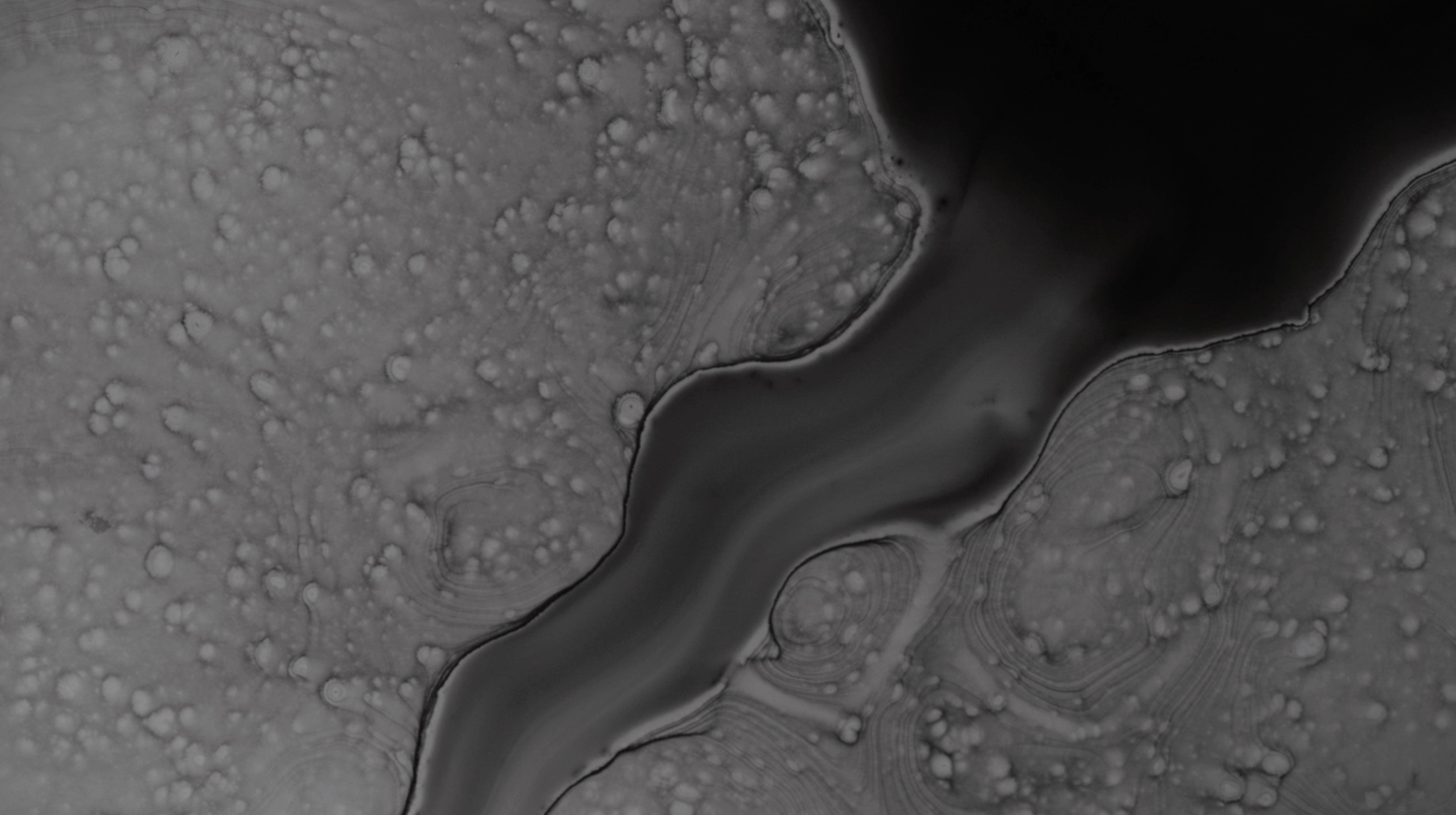 Screenshot 2024-11-08 at 11.36.33 PM.png