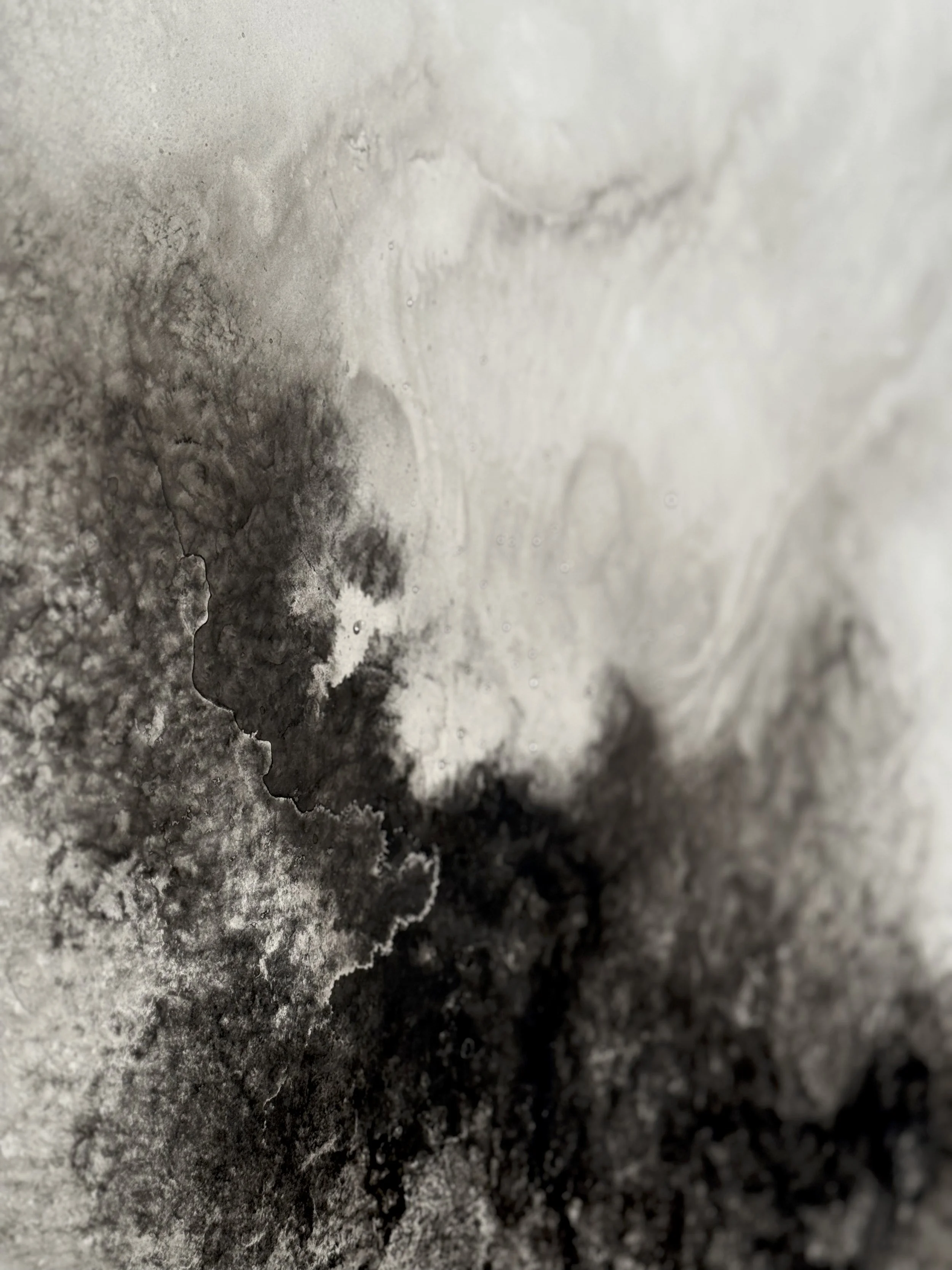 Étendues, 2025 (détail),
Emy Gagnon Gélinas,
Verre, encre de Chine, papier Yupo et aluminium | Glass, India ink, Yupo paper and aluminum,
244 cm × 122 cm × 46 cm,
5,500$ CAD (individuel) | 10,000$ CAD (ensemble) 