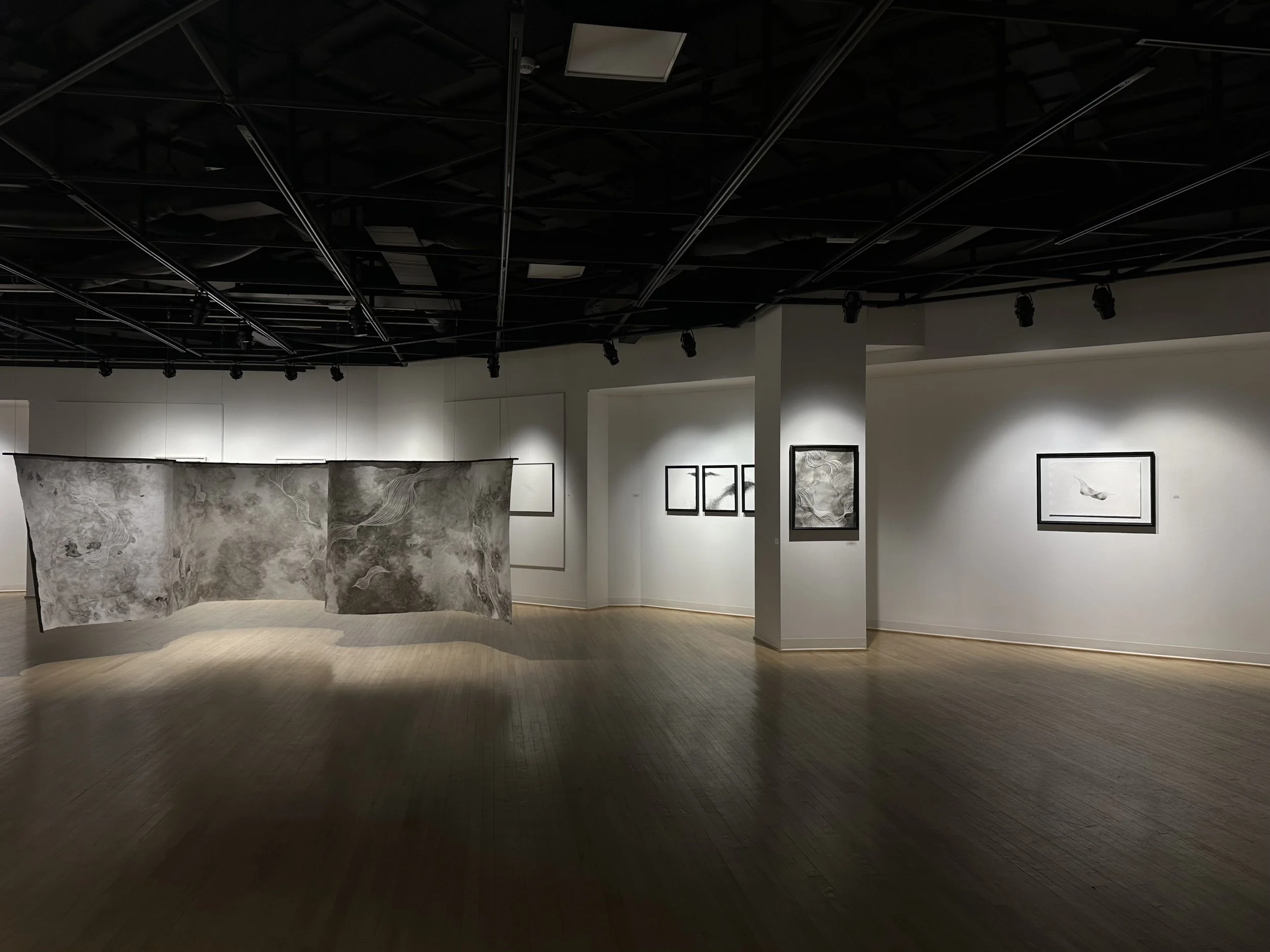 Éphémères imaginaires, 2024, vue d'exposition