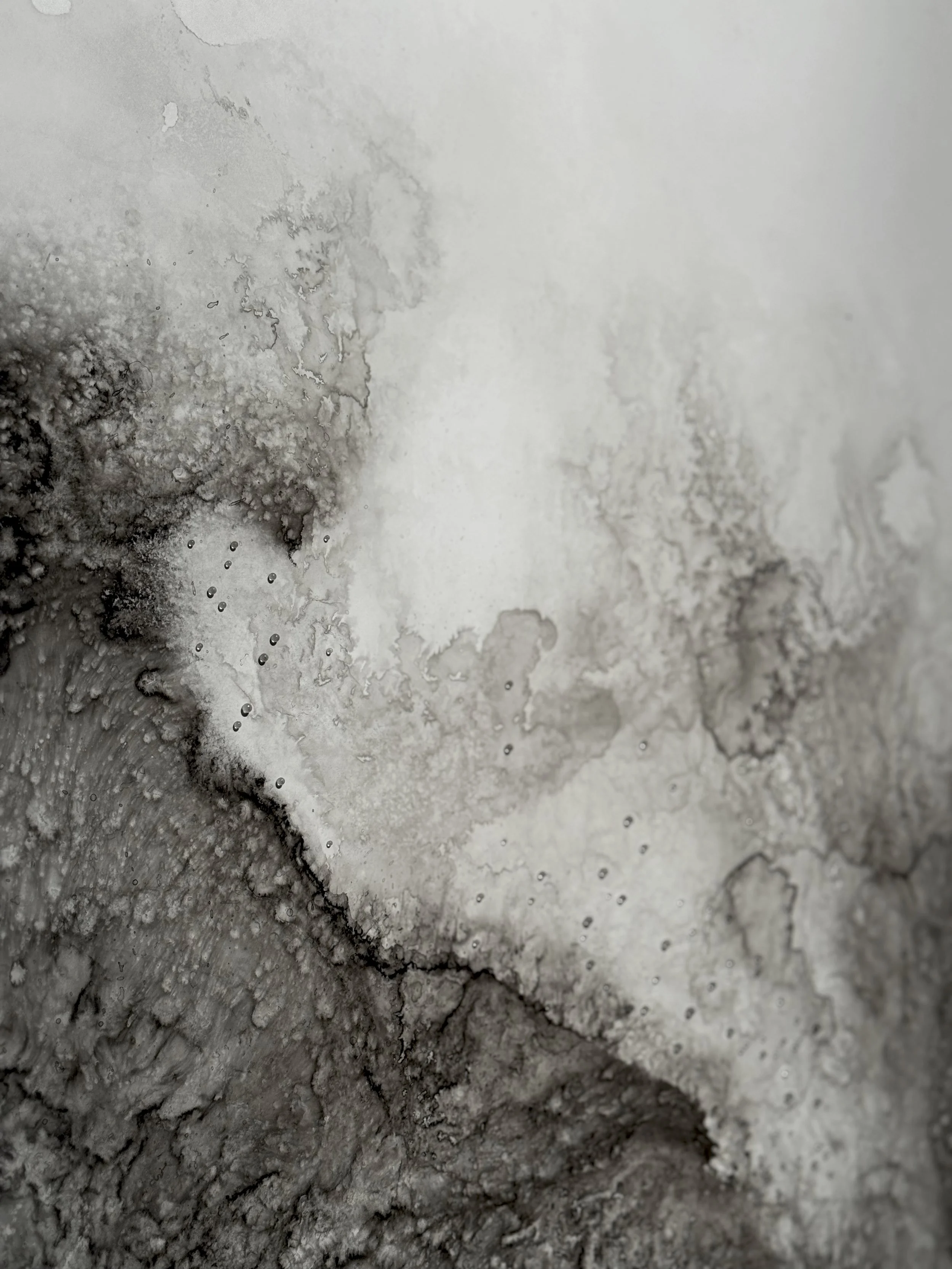 Étendues, 2025 (détail),
Emy Gagnon Gélinas,
Verre, encre de Chine, papier Yupo et aluminium | Glass, India ink, Yupo paper and aluminum,
244 cm × 122 cm × 46 cm,
5,500$ CAD (individuel) | 10,000$ CAD (ensemble) 