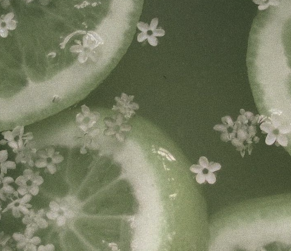 Screenshot 2026-01-05 at 9.45.44 PM.png