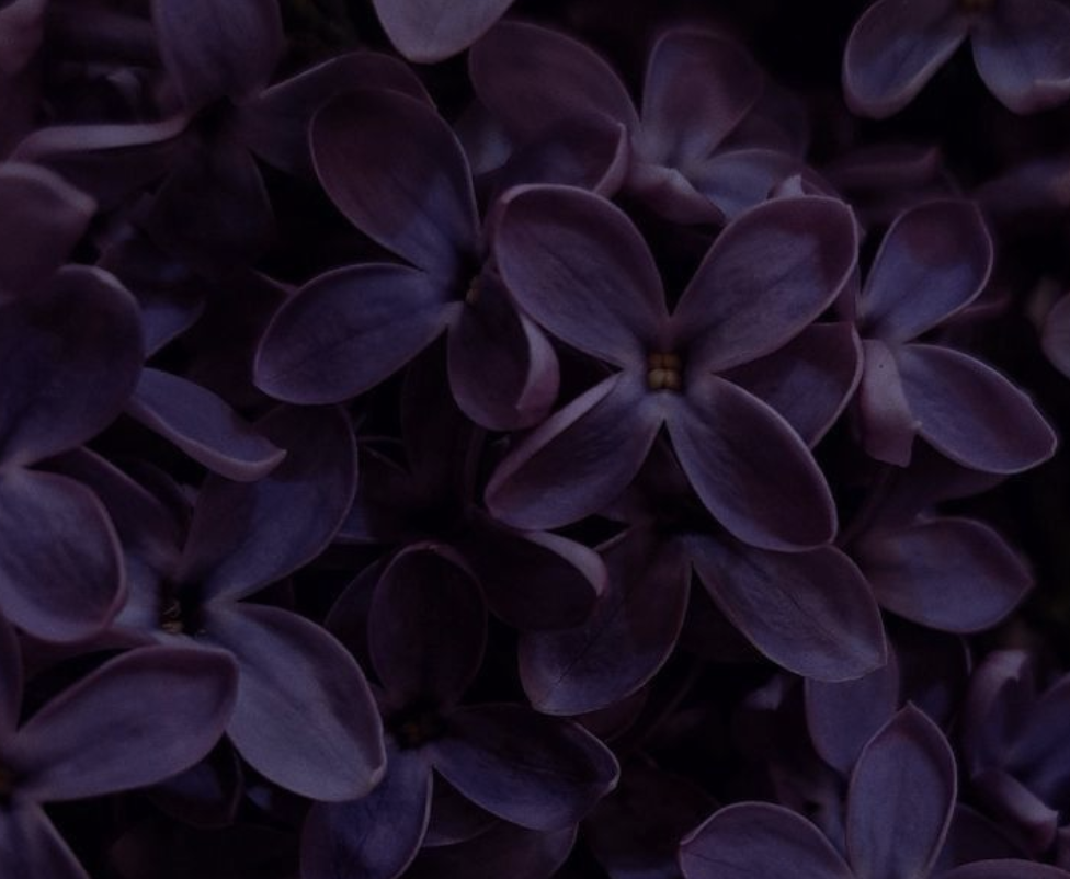 Screenshot 2026-01-05 at 9.58.01 PM.png