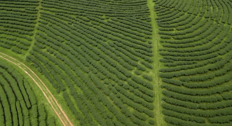 Screenshot 2026-01-05 at 9.38.09 PM.png