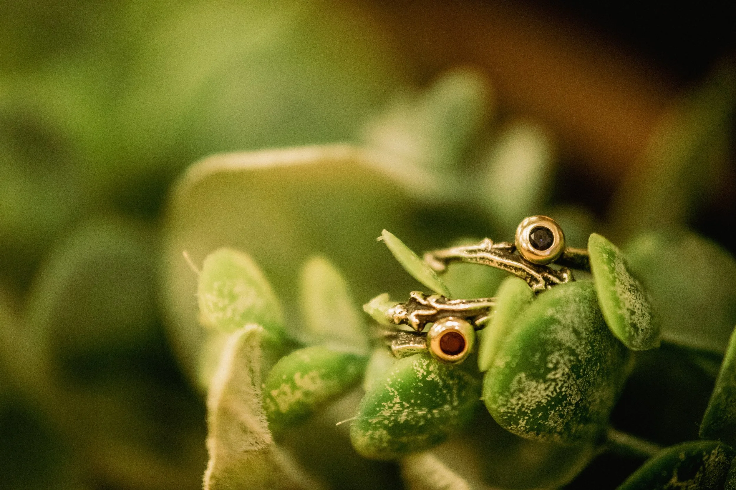 Close-up of two tiny metallic frogs ornament with gemstone eyes resting on green succulent plant leaves.