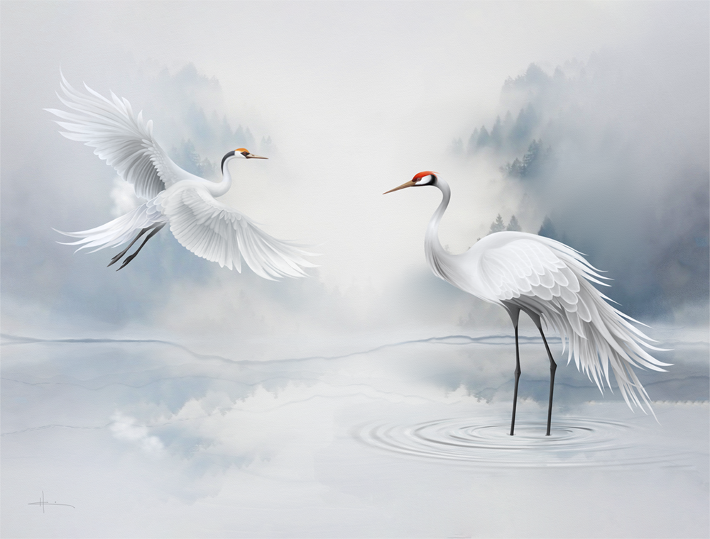 birds2-egrets.png