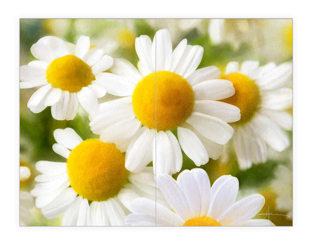 flowers7spread.png
