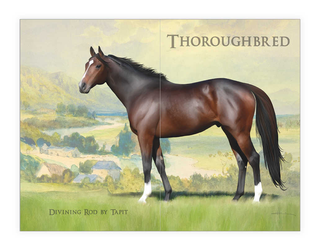 horses7spread.png