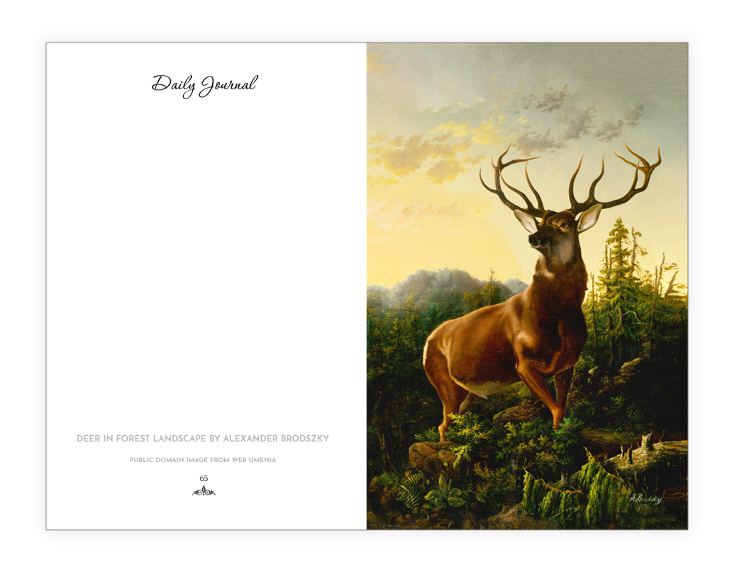 XwildlifeII-7.png