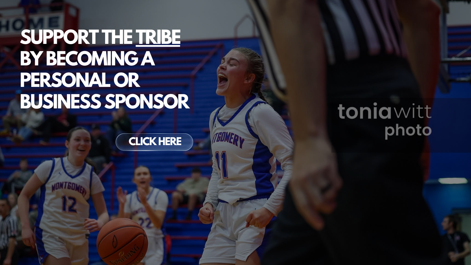 Become a Sponsor.png