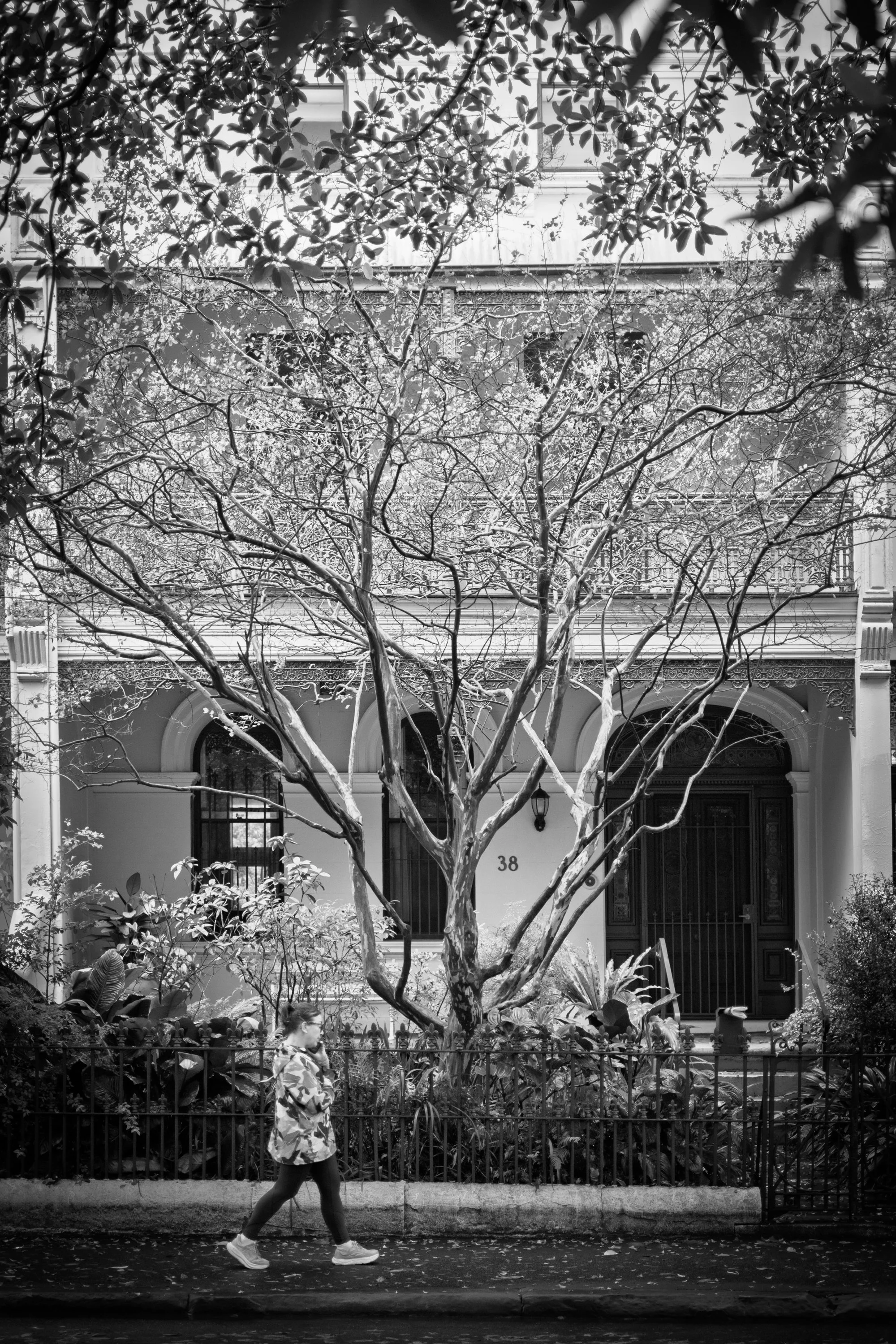 Sydney, Australia. Walking, architecture, trees, and everyday urban life photographed by Sepa Sama. Available for photography commissions, architectural photography, urban documentation, and place-based visual research.