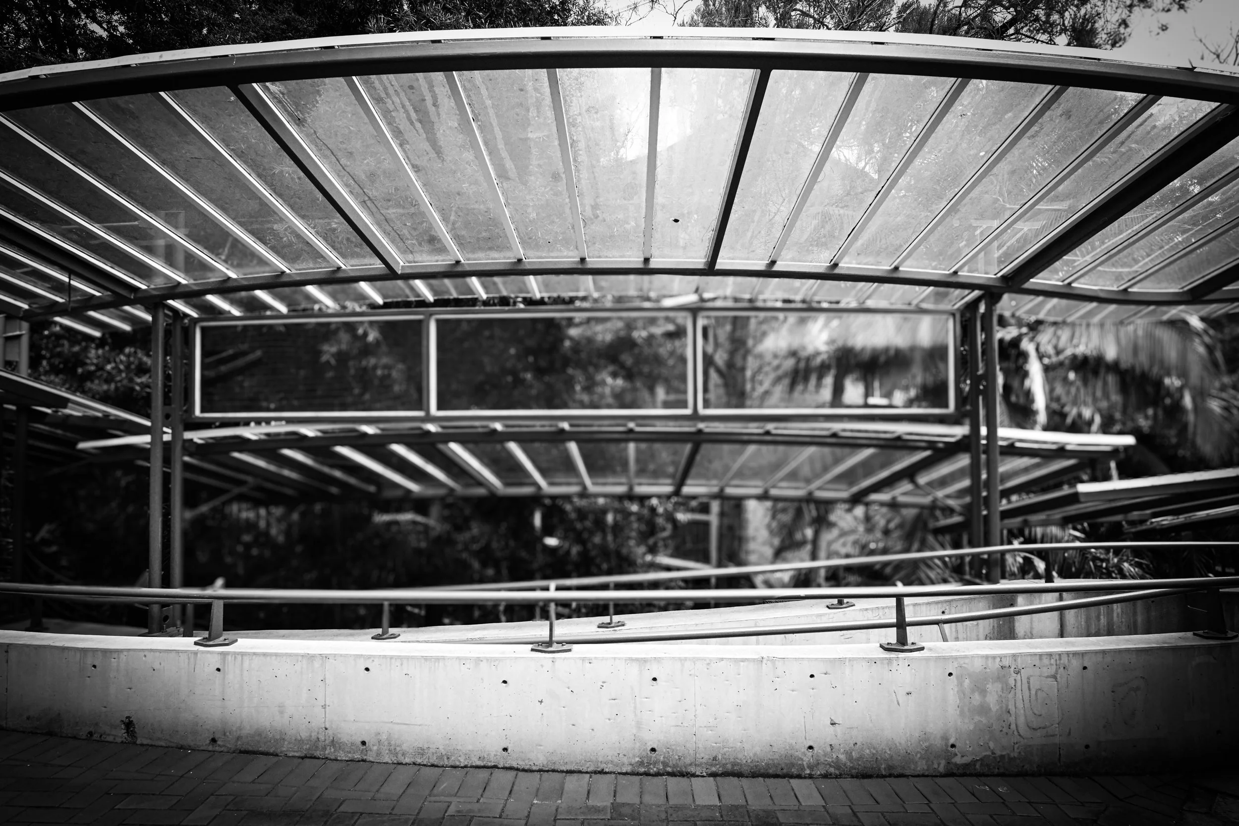 Black-and-white architectural photograph of a covered glass walkway at UNSW Kensington Campus in Sydney, Australia, August 2024. The image shows a curved transparent canopy, metal railings, concrete ramp, and layered reflections of trees and light. T