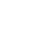 SAVIY Four