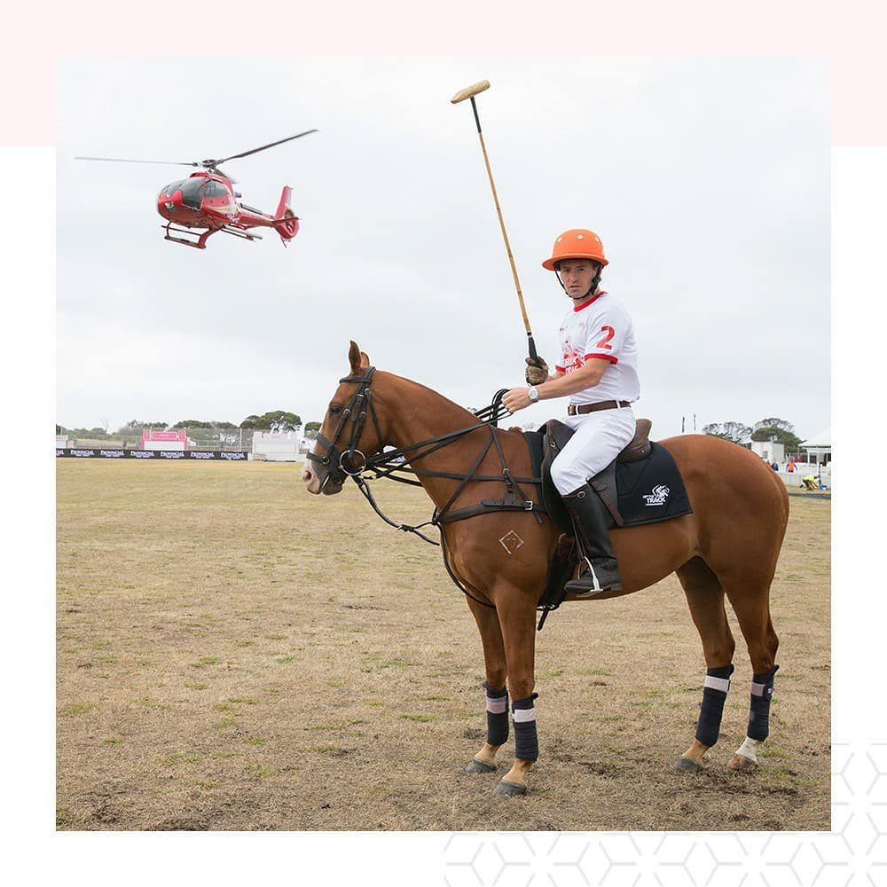 The stars of the show are ready 🐎
.
All is in place for a special 20th anniversary of Portsea Polo. 🙌