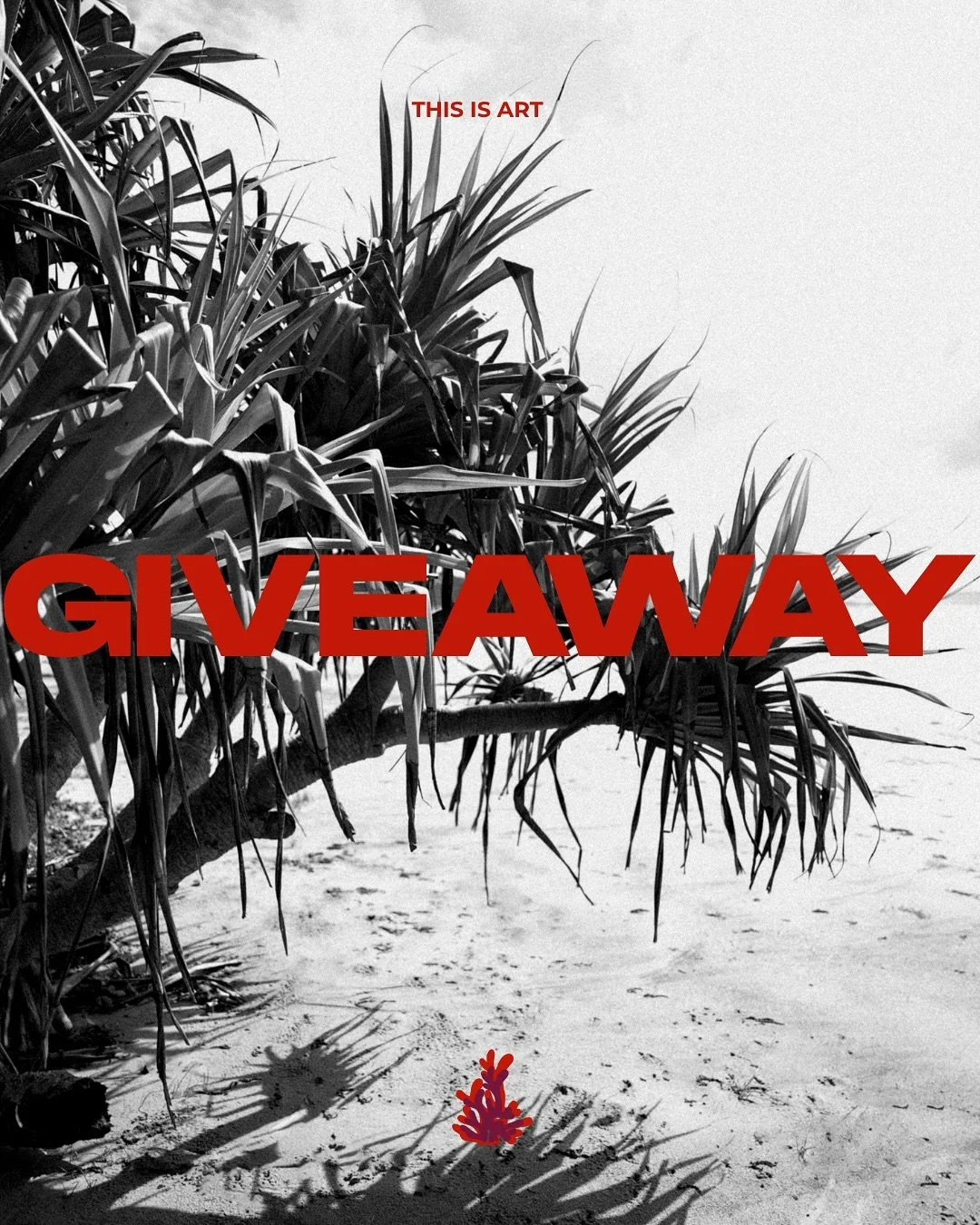 To celebrate what&rsquo;s coming we&rsquo;re giving away something special.

A&nbsp;FREE&nbsp;photoshoot, crafted for you.

Maybe it&rsquo;s time to capture your family as they are now.
Maybe your business needs a visual refresh.
Maybe you&rsquo;ve g