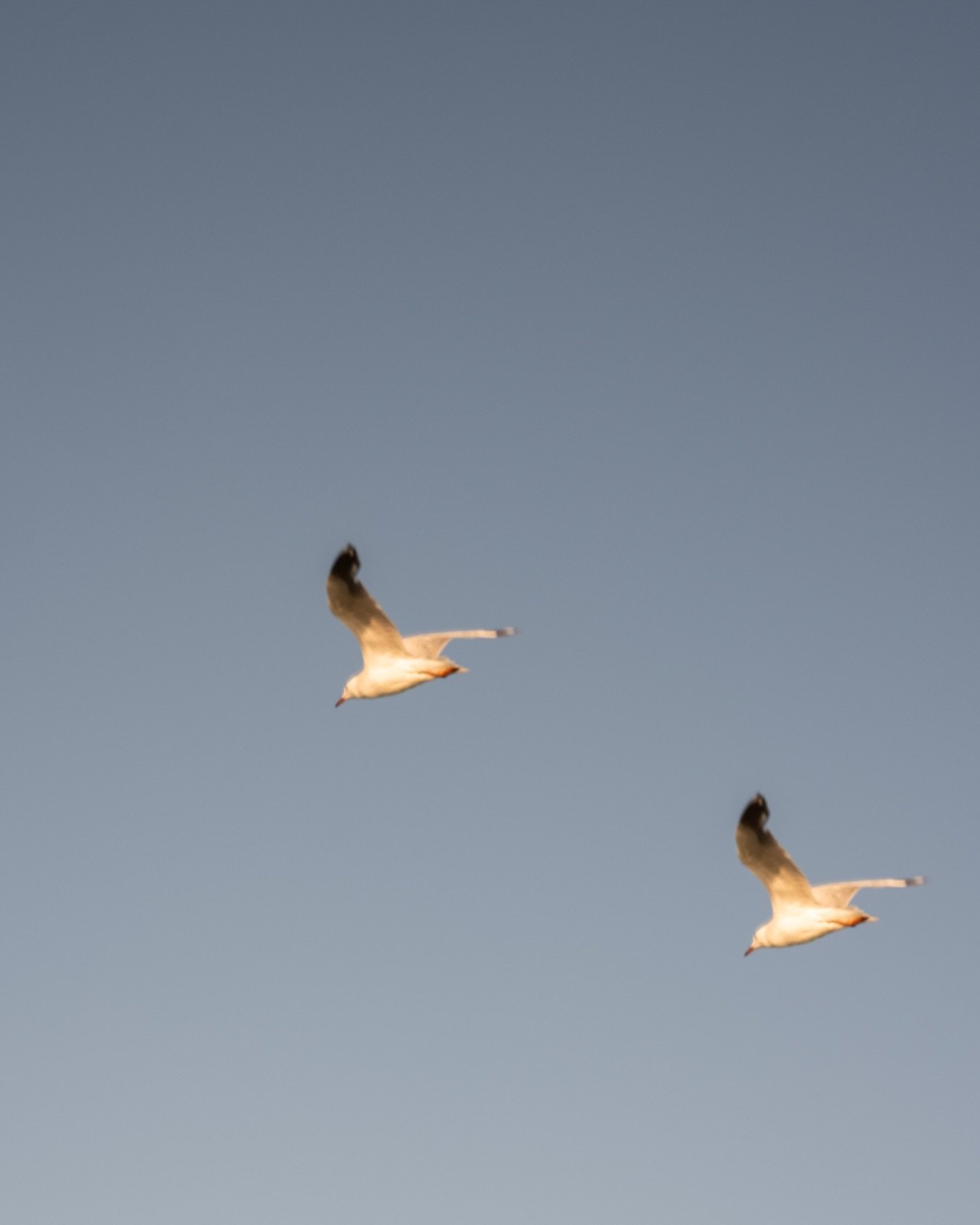 Sometimes the best shots are the unplanned ones.

A moment. A frame. A reminder to always look up.

These are the in-between moments we talk so much to. The moments we didn&rsquo;t put in the plan but This is Art captures on the day.