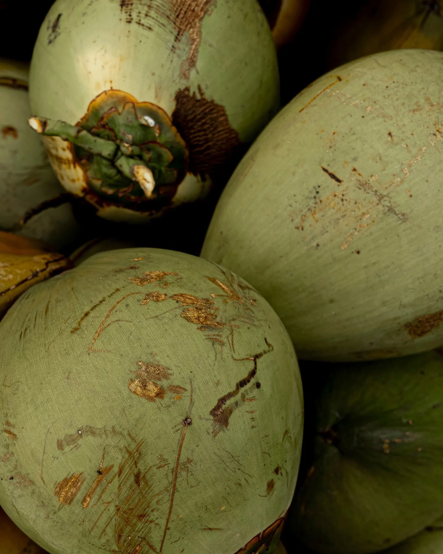 Art that lives beyond the frame.

Our print collection is now available on the website. A curated series of still moments captured through the This Is Art lens. Ocean, movement, form, stillness. Each image created to bring feeling into a space, not j