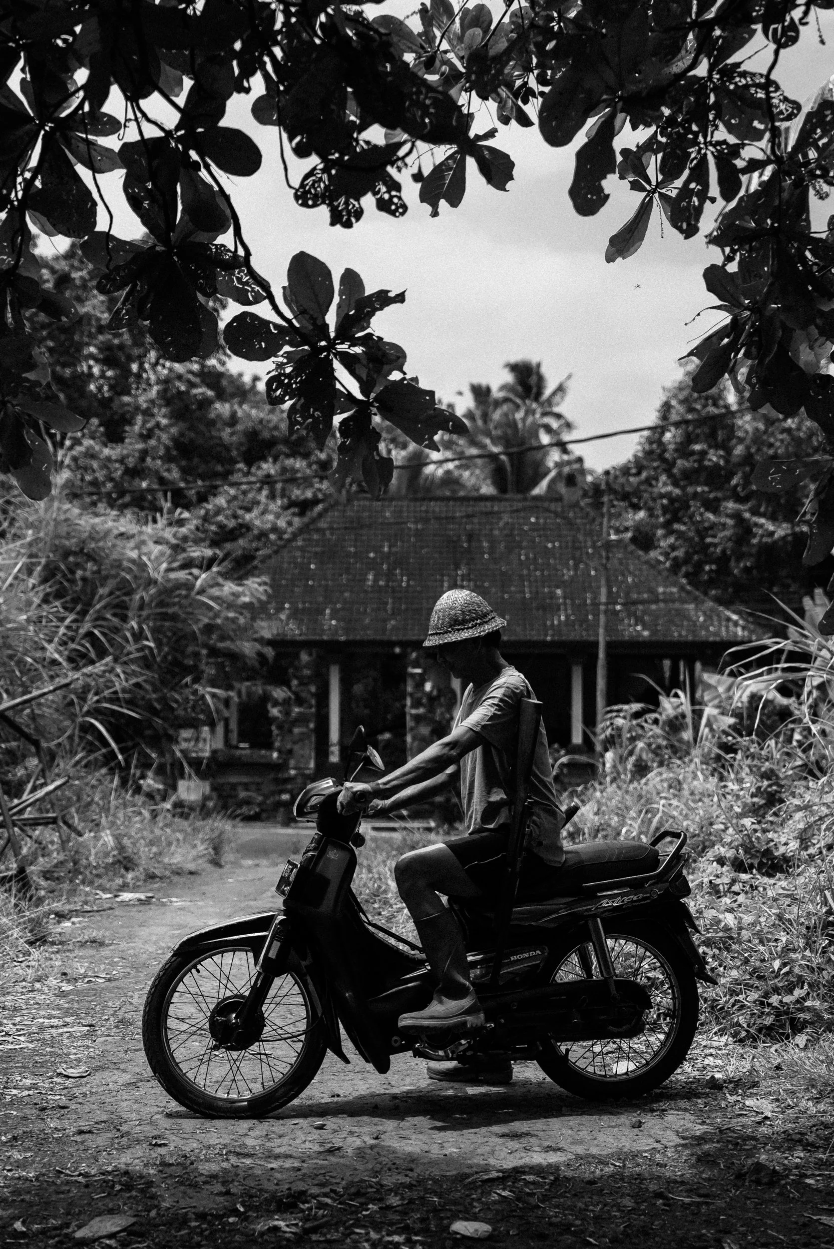 Indo_25-17.jpg