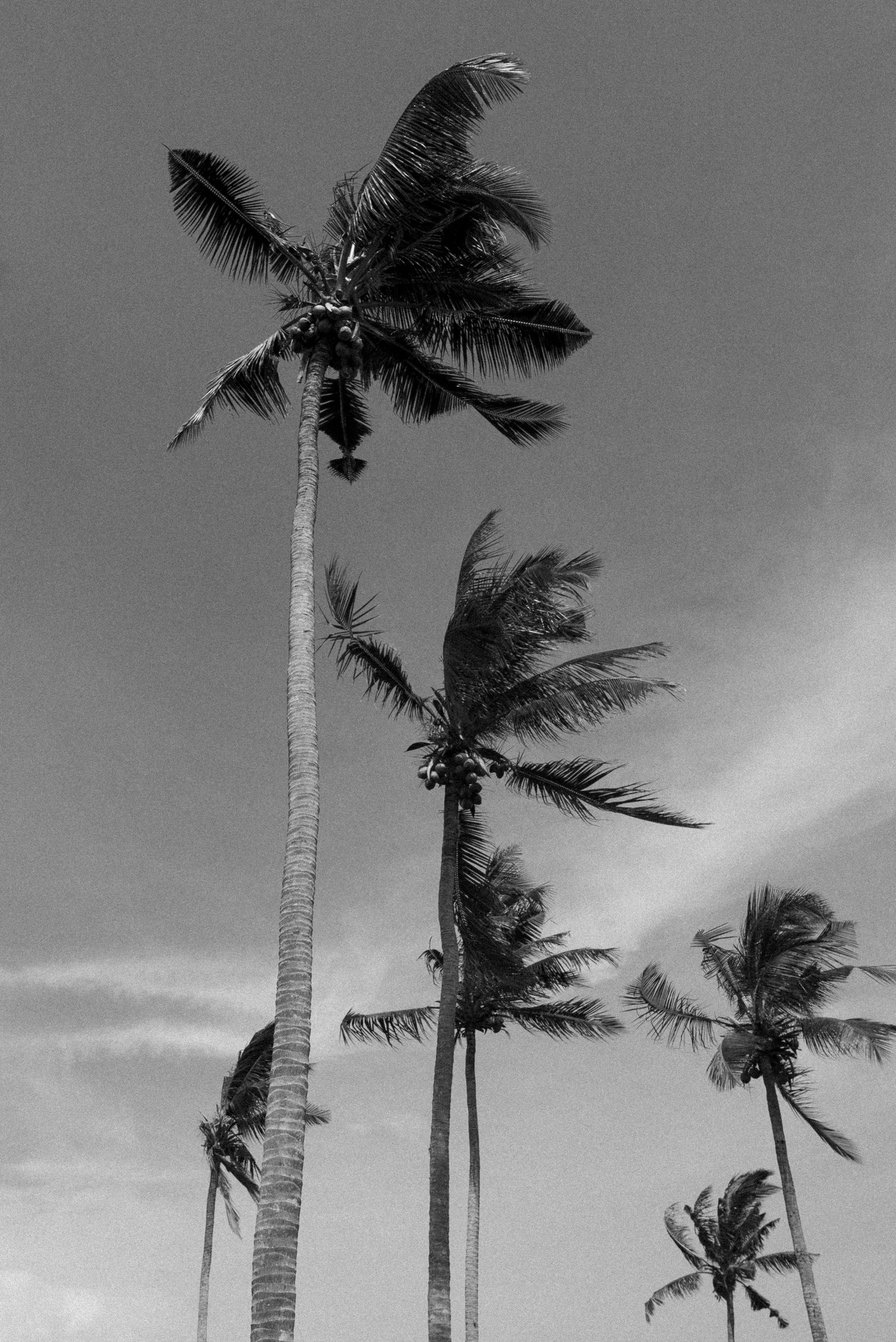 Elation_Bali-089.jpg
