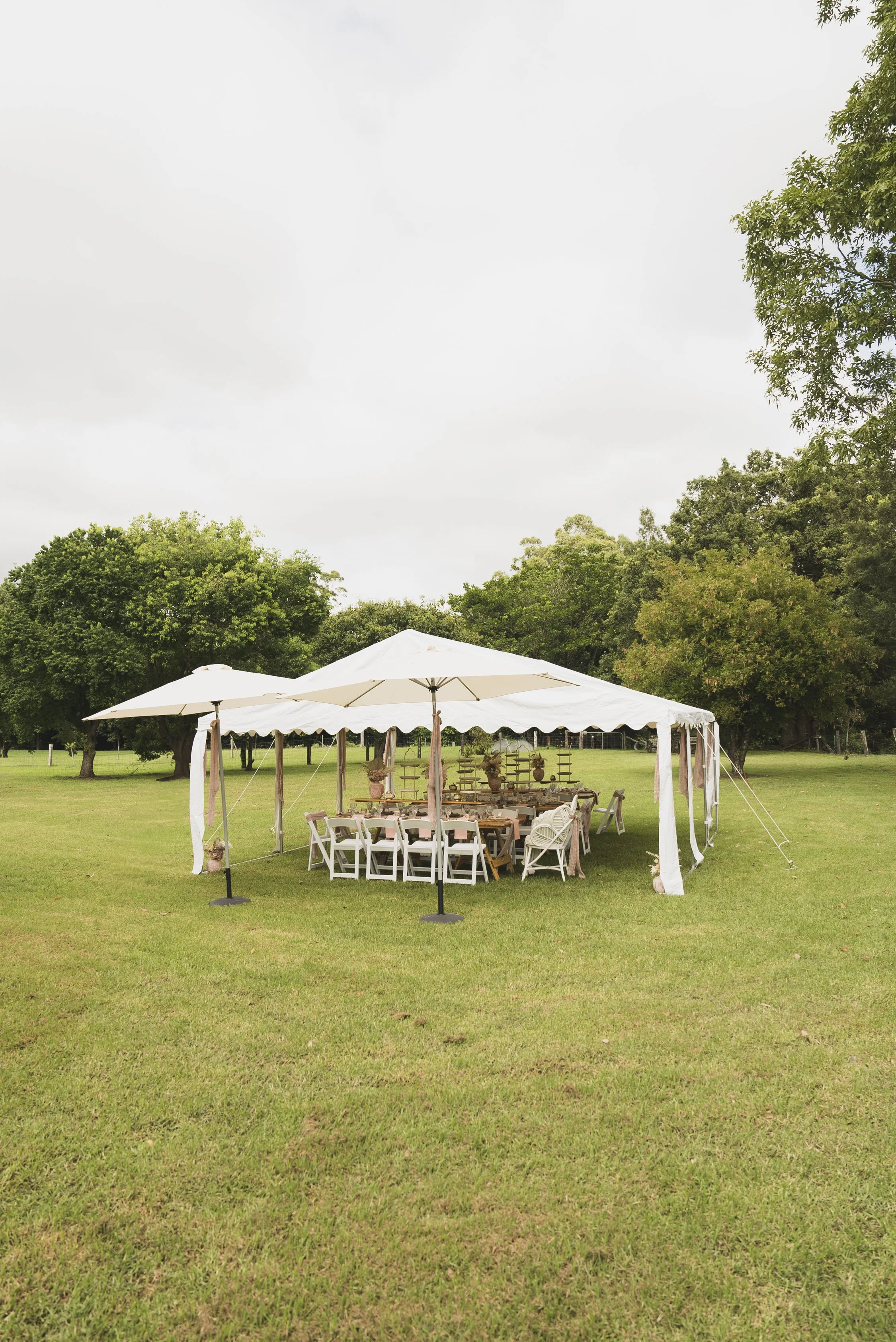 NEC_hightea_LR-03.jpg