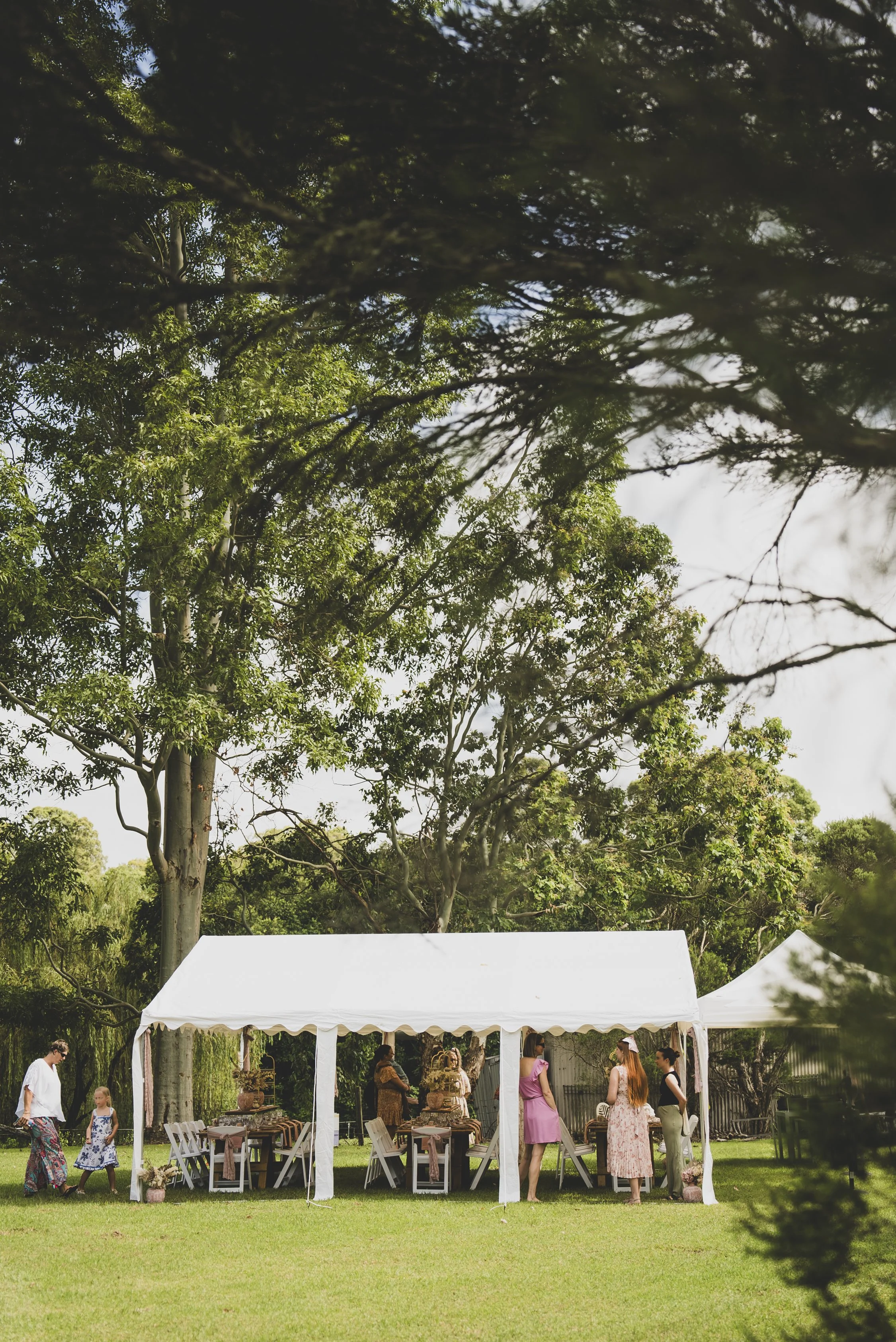 NEC_hightea_LR-05.jpg
