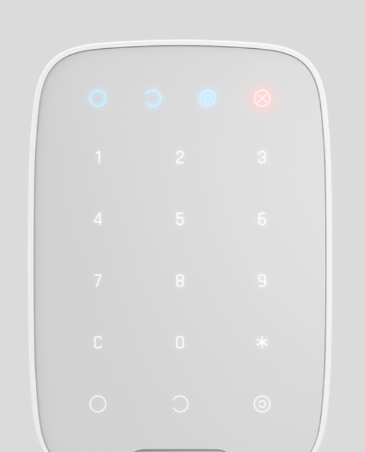 Alarm, CCTV Security, remote app ajax dsc paradox, smoke detector. photo on demand. keypad wireless
