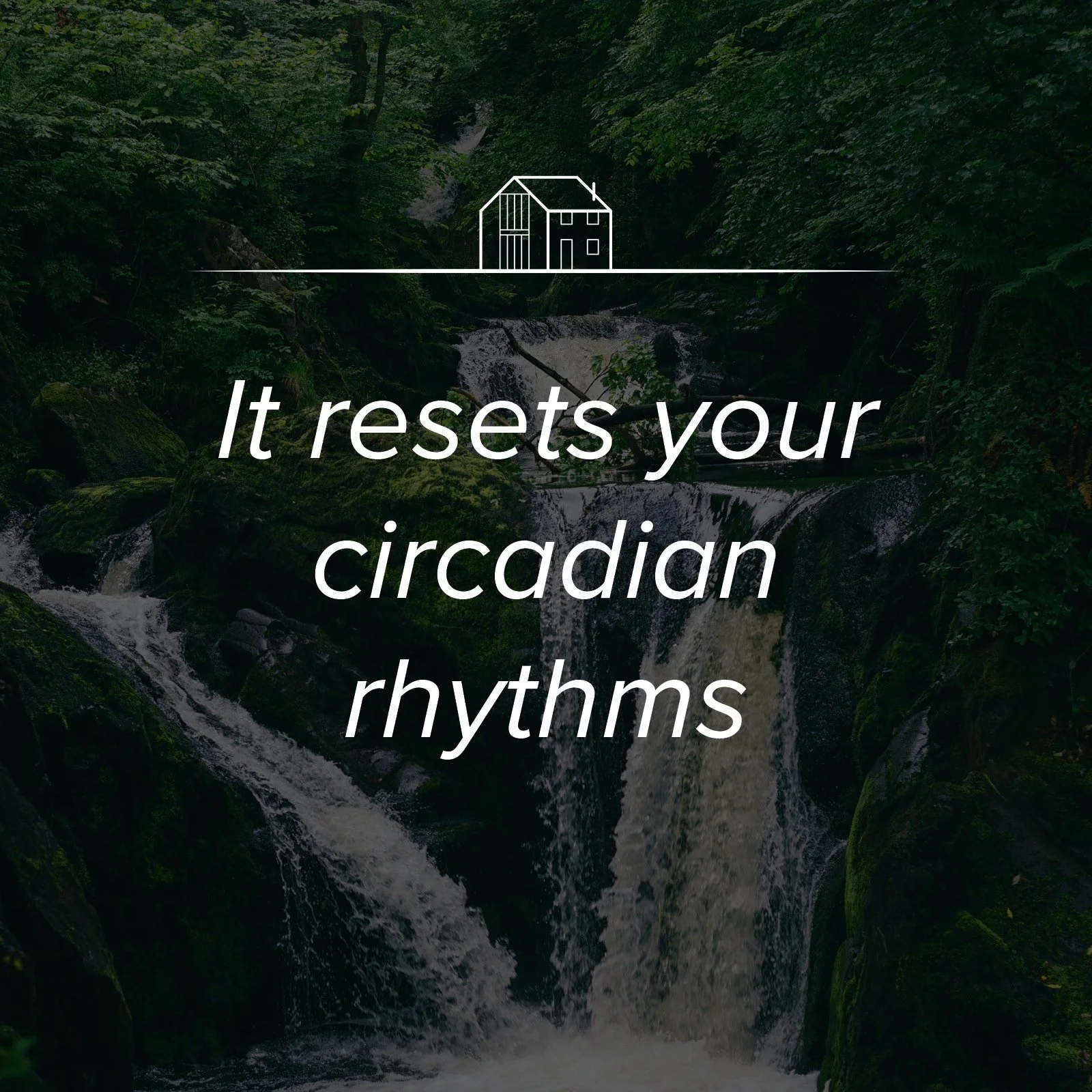 Five Reasons To Spend More Time Outside.