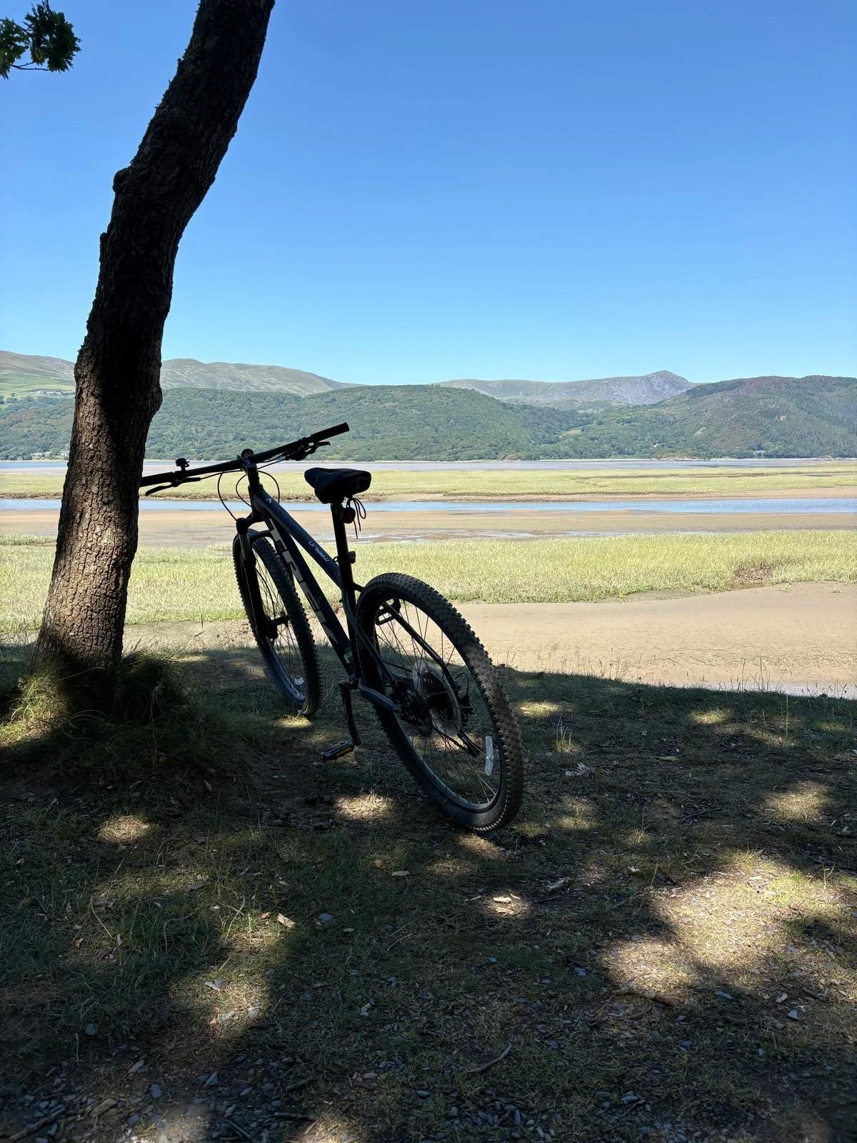 Bike resting against a tree beside the Mawddach Estuary with mountains behind