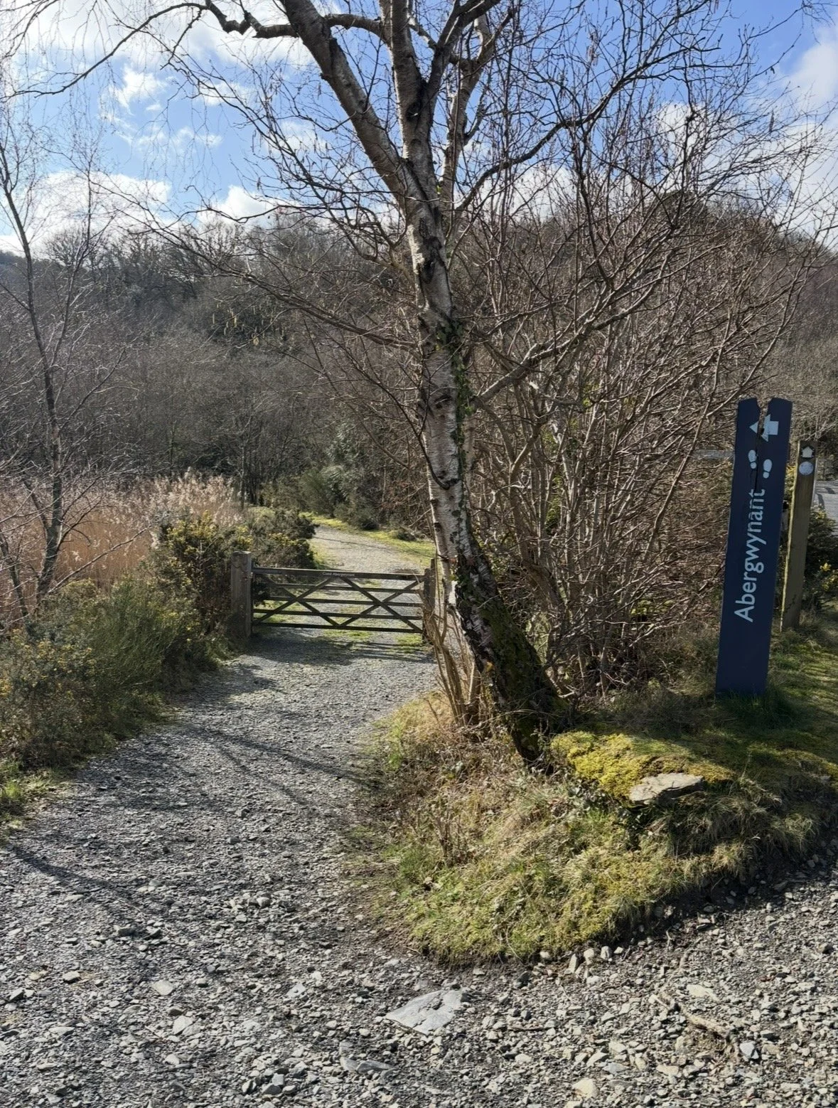 Woodland footpath and gate with a waymarker post near the Mawddach Estuary