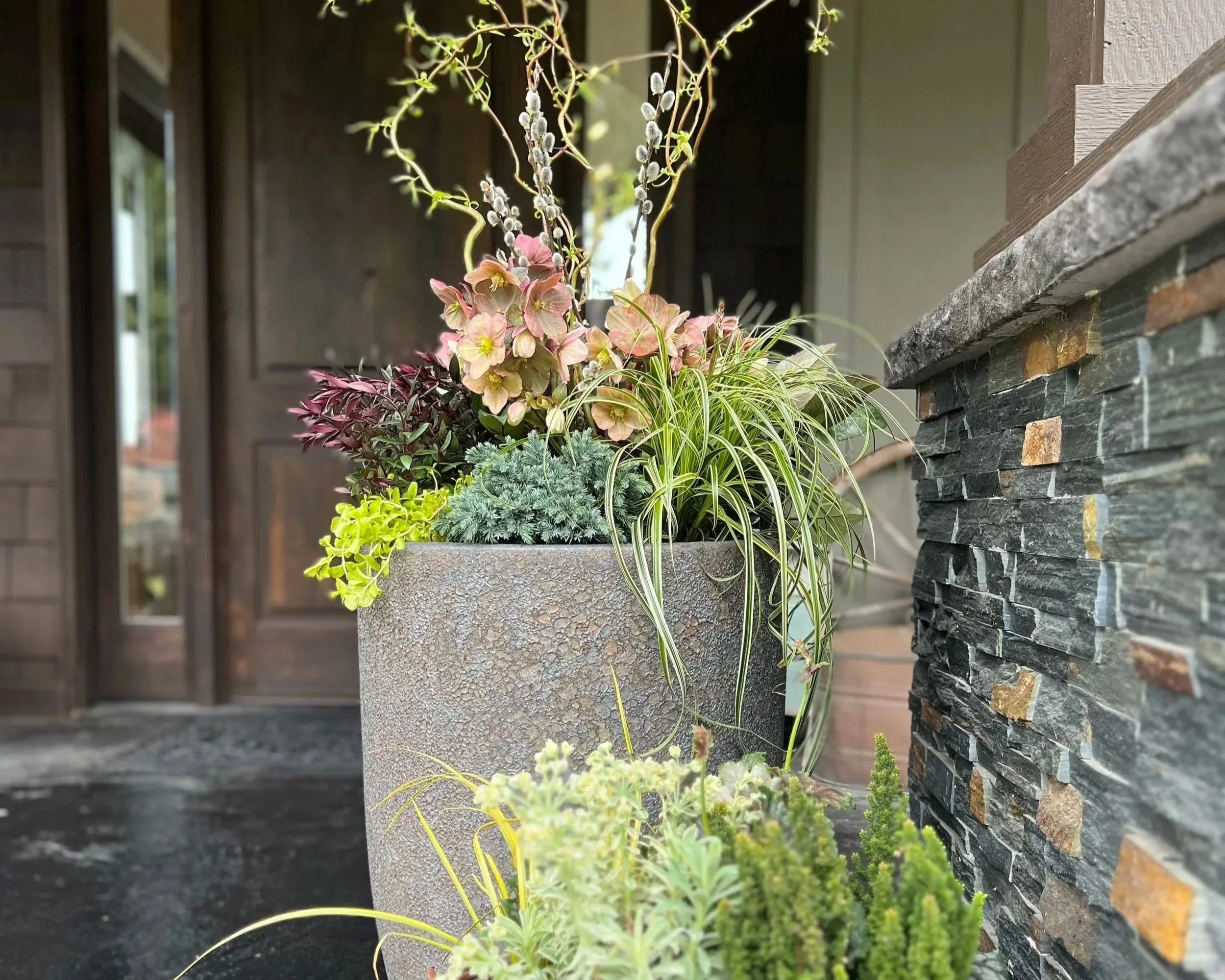 A large gray textured flowerpot with various plants, including pink and green foliage, on a porch next to a stone wall. In the background, a wooden door and windows are visible.