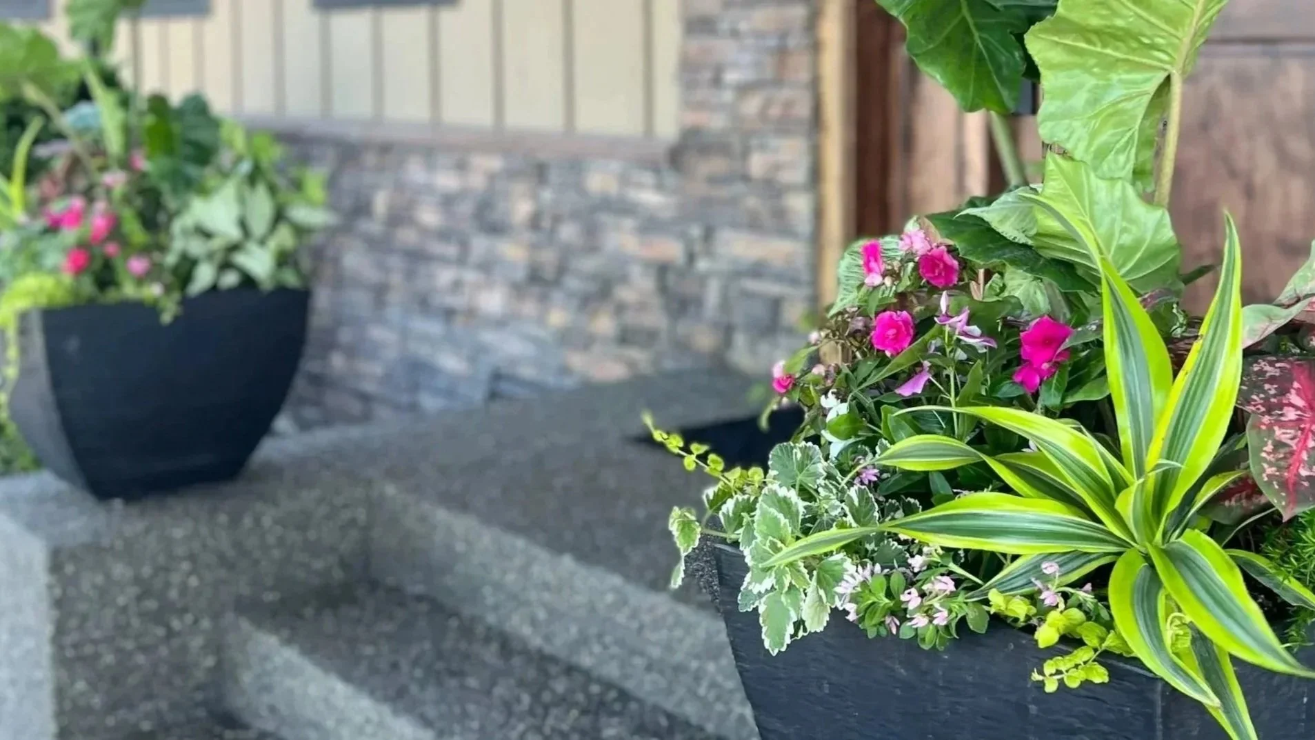 Close-up of a black rectangular outdoor planter with pink flowers and green foliage, on a concrete surface near a brick wall.