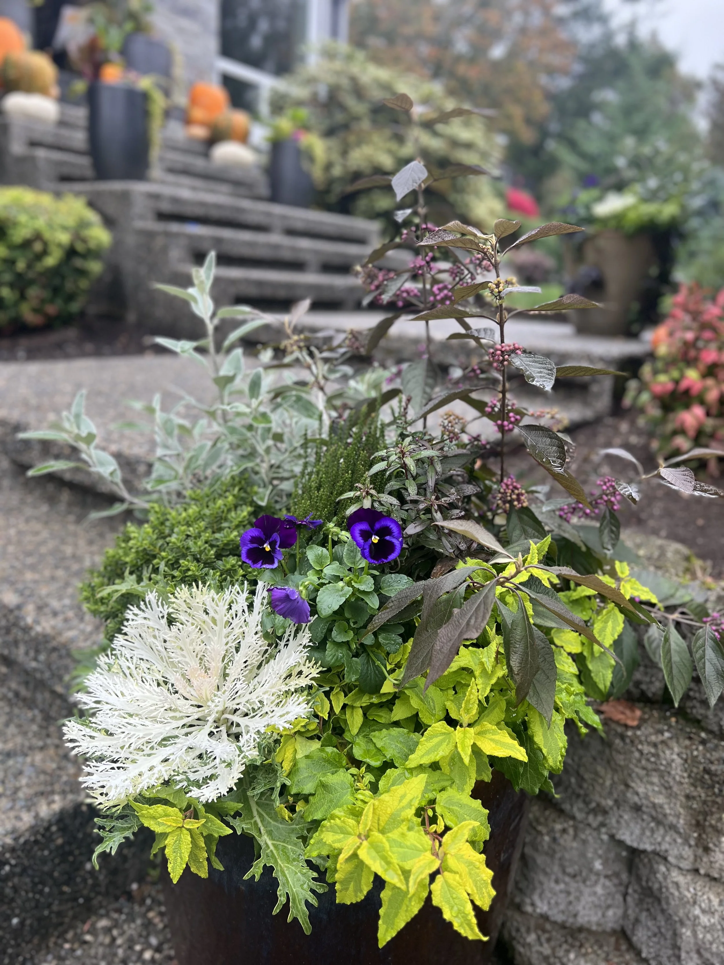 A variety of colorful flowers and plants in a black pot on a stone surface, with steps and potted plants in the background.