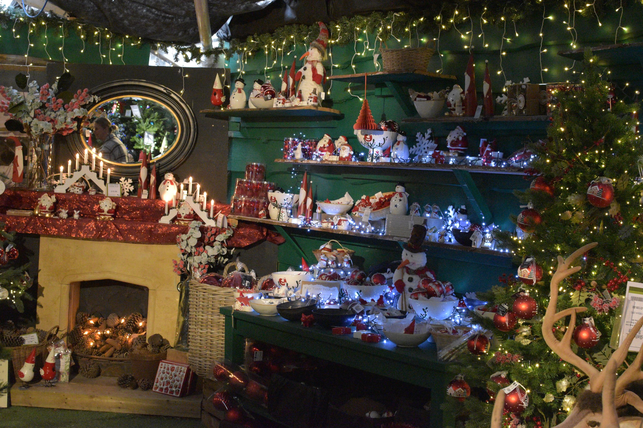 Best Christmas Display. EVER!!