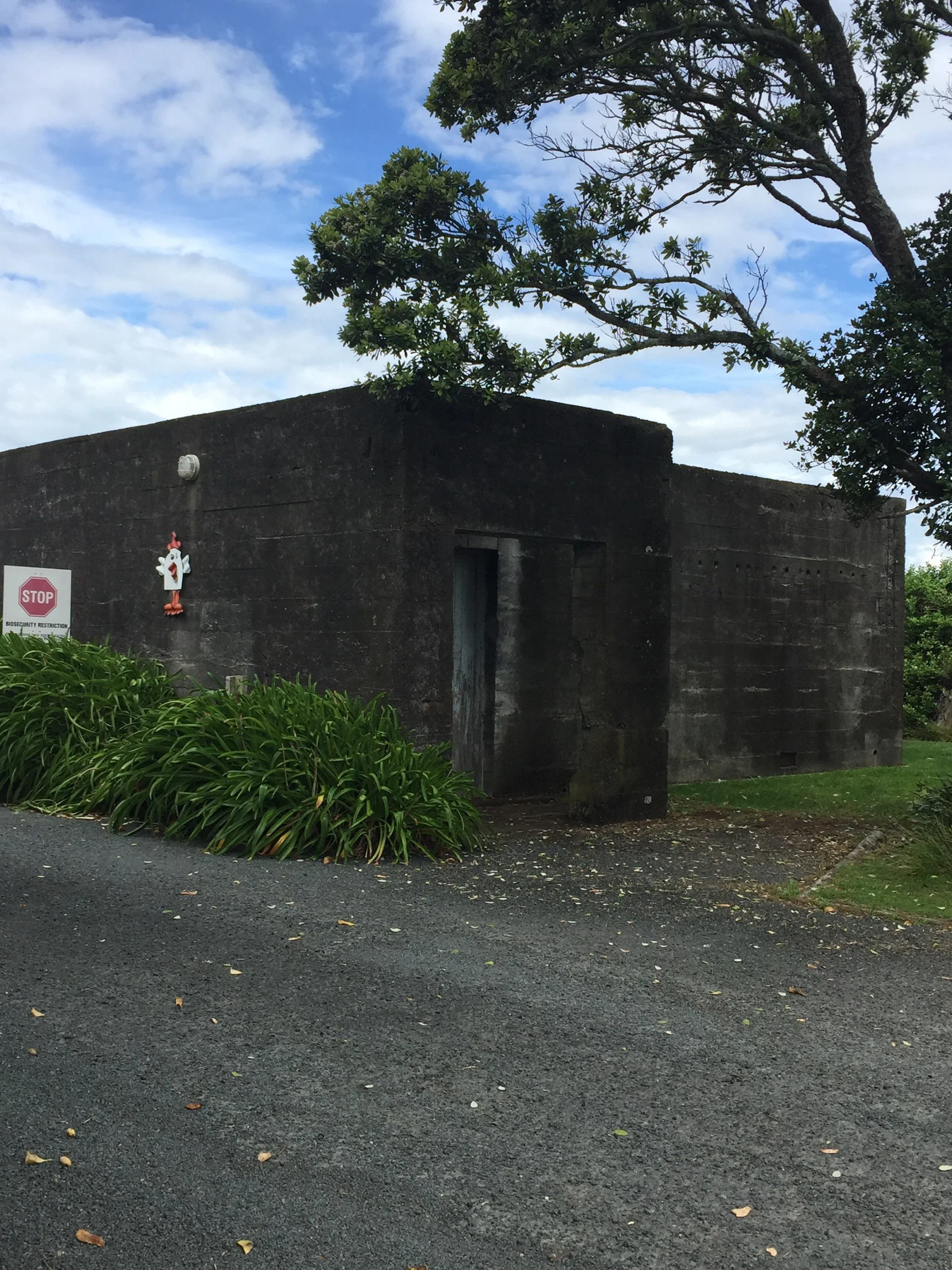 Thoughts: New Plymouth and Childhood Memories