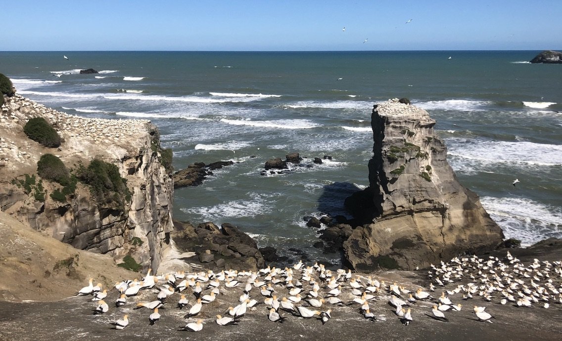 Exploring Auckland - Piha and Kitekite Falls