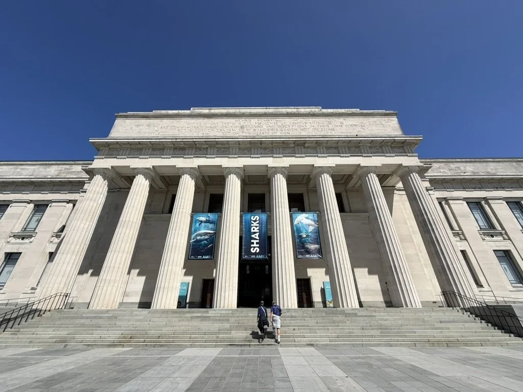 Revisiting the Auckland War Memorial Museum