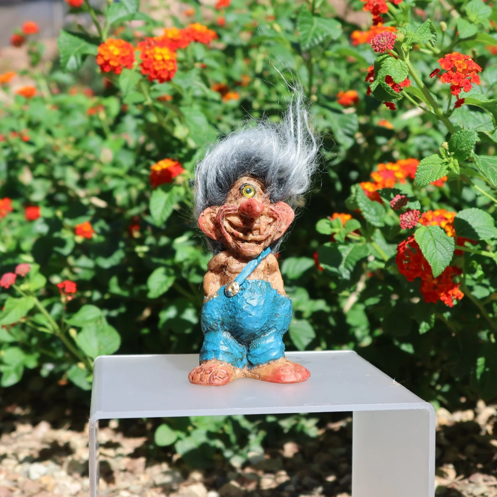 Duende Clarividente / Clairvoyant Troll
