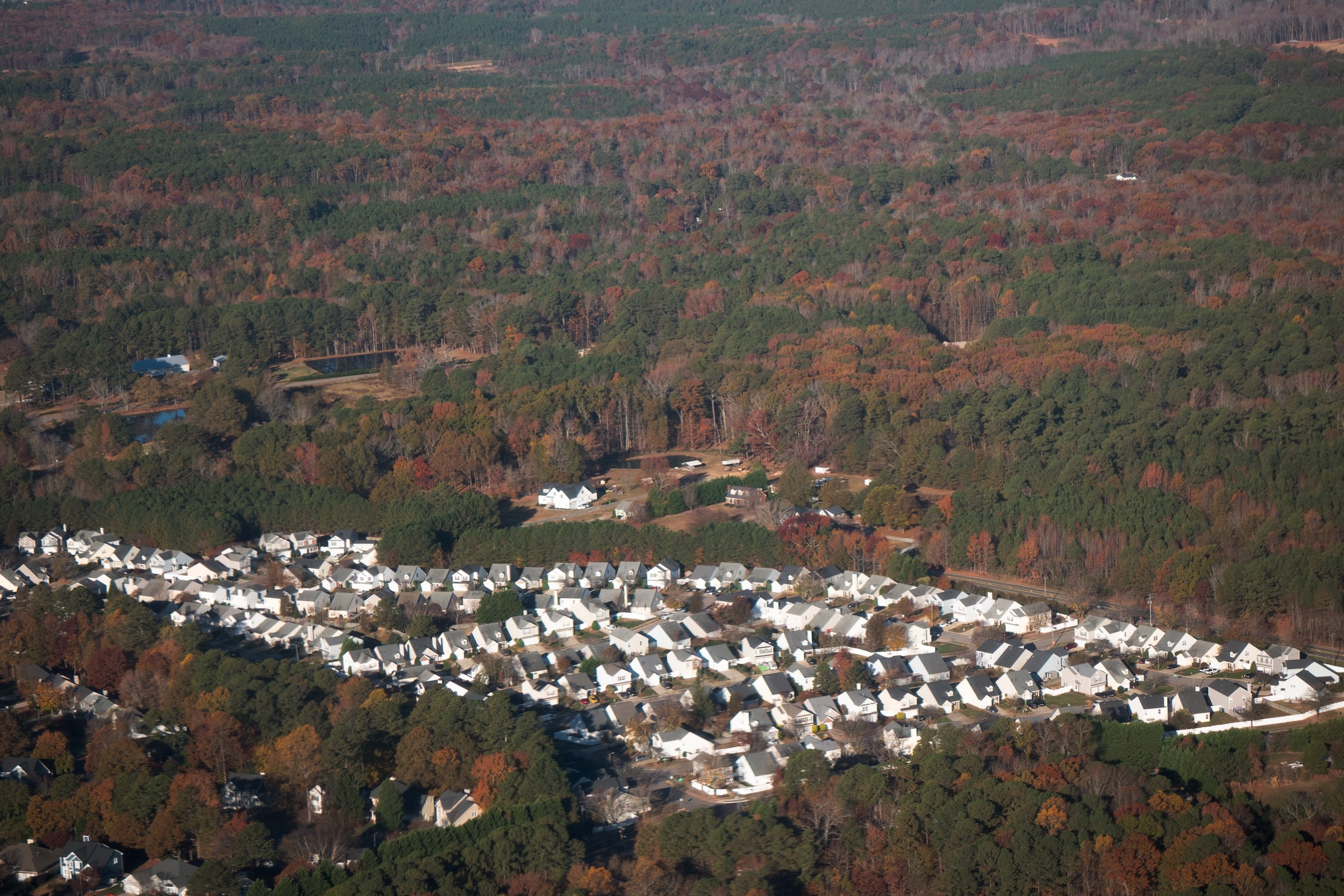 Houses.jpg