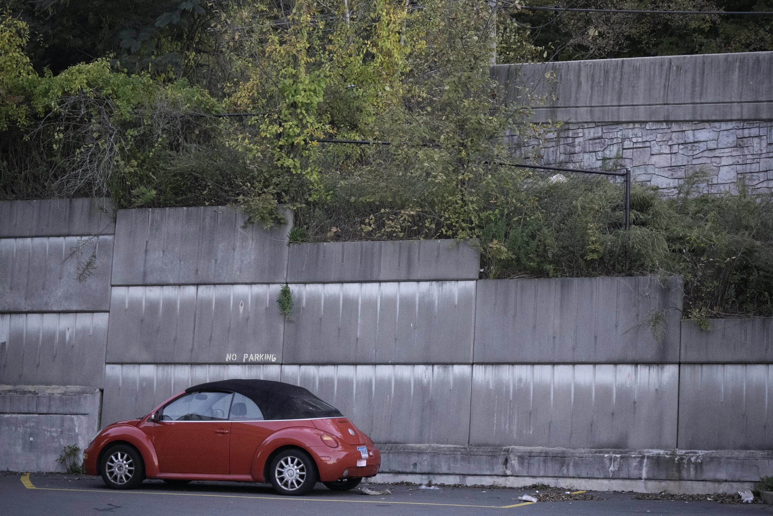 P1110037-Edit.jpg