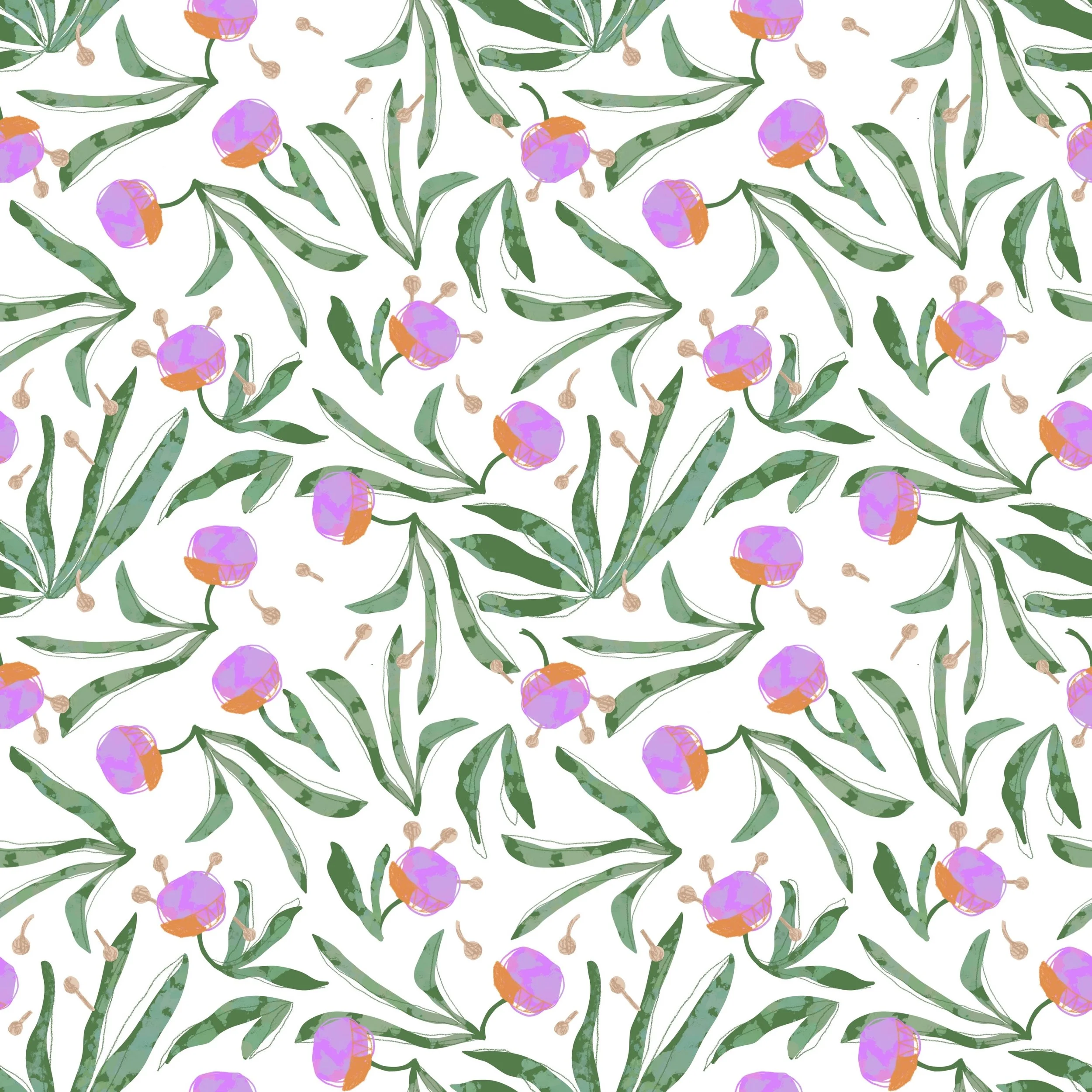 Allium dance white background.JPG