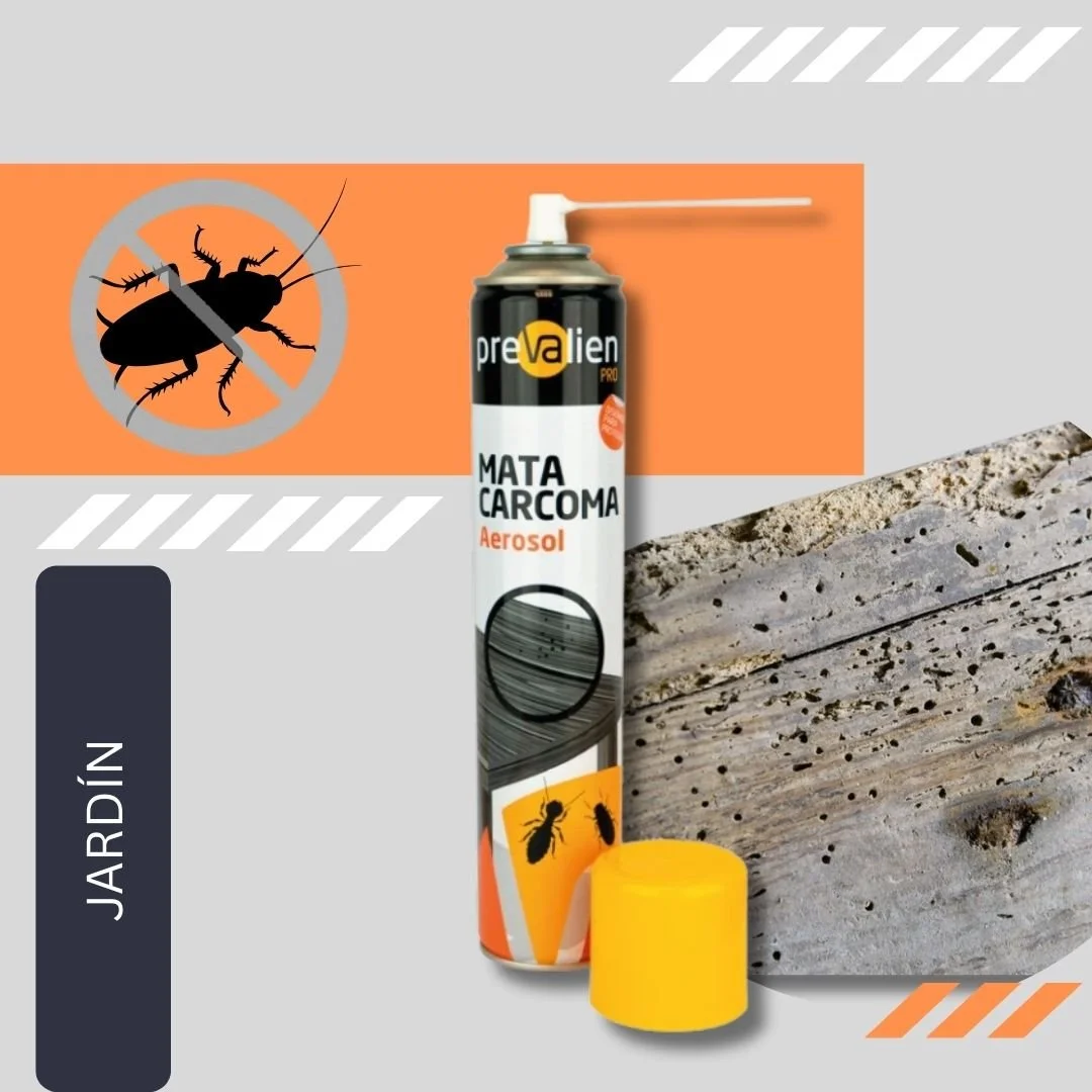 Aerosol spray can labeled 'Mate Carcoma' for wood treatment, with yellow cap, next to a wood surface with insect damage.