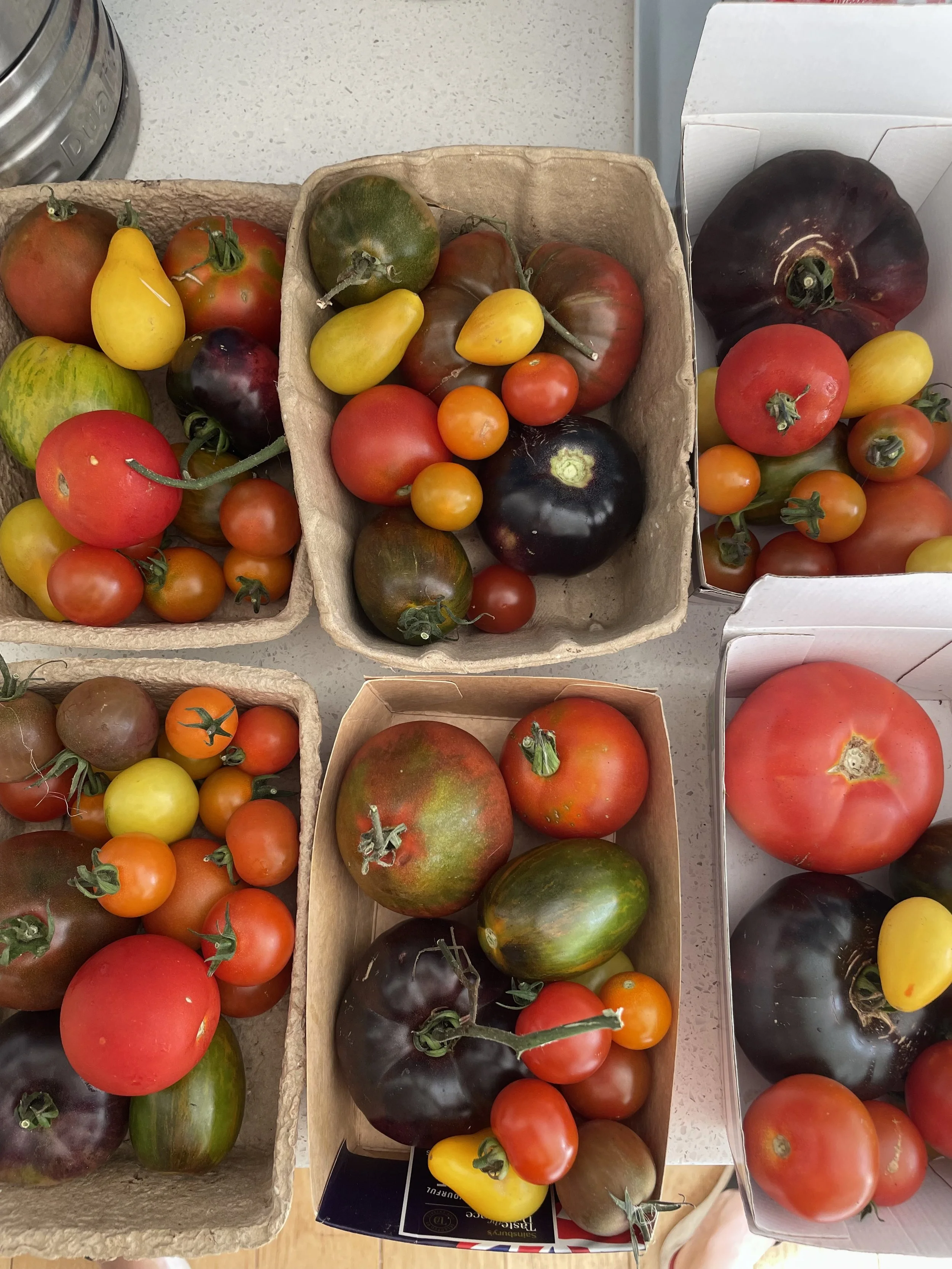 Some of our heritage tomatoes
