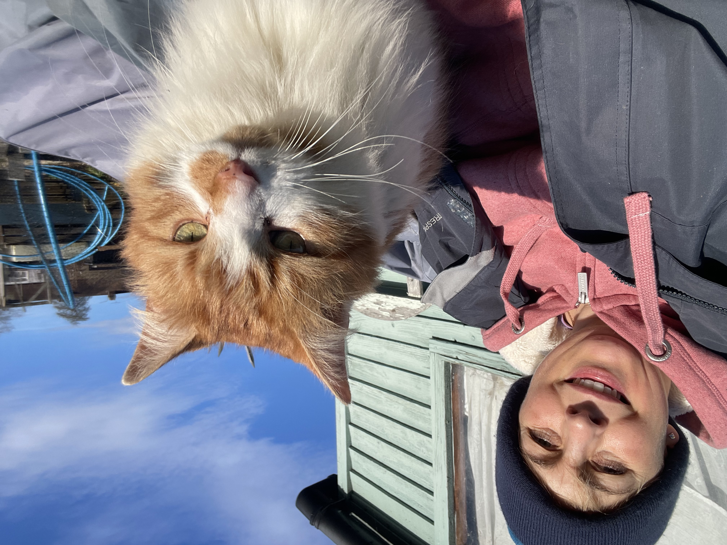 Winter sun with Georgie