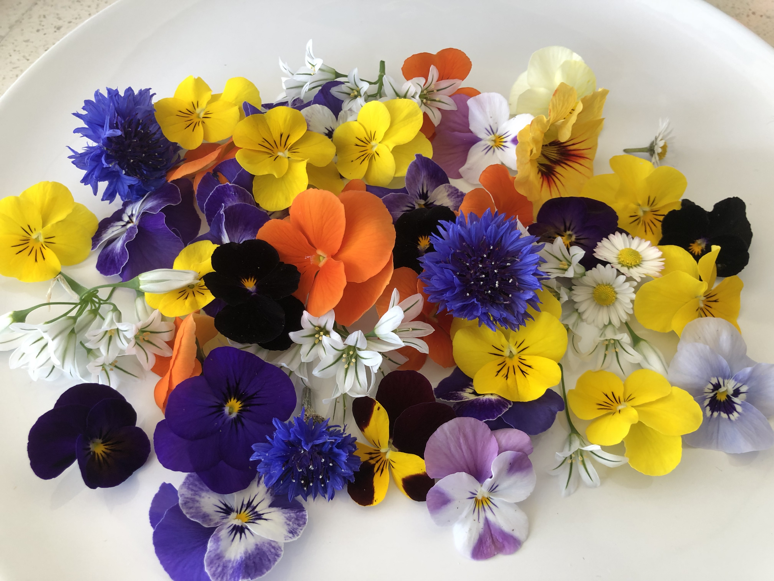 Edible Flowers!