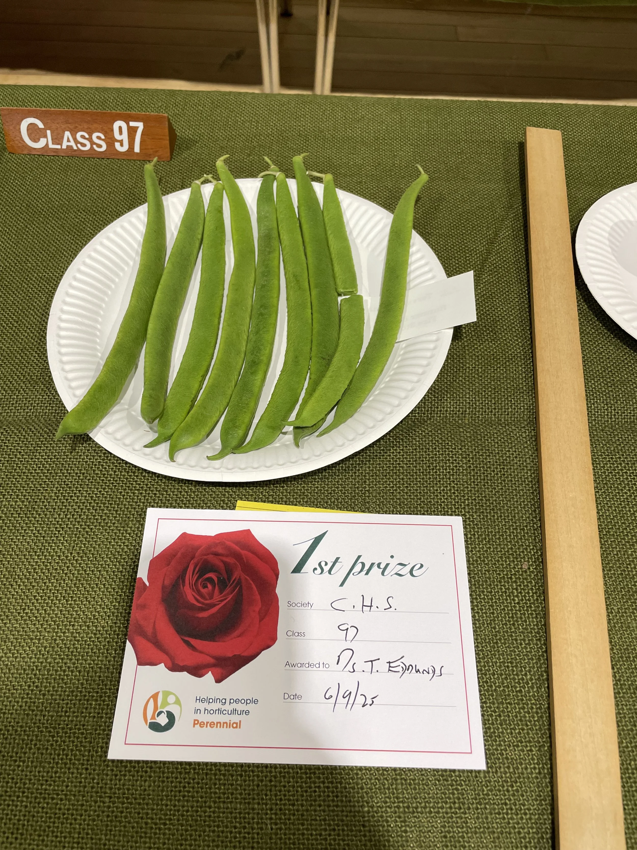 1st prize runner beans 2025