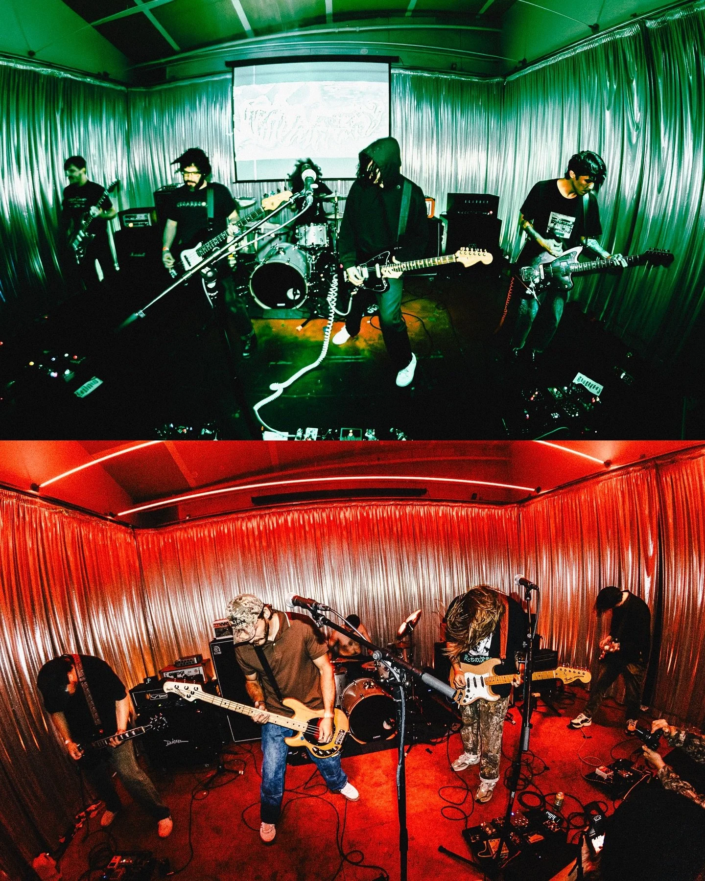 💸 MONEY RAY🦎

@moneykills__ x @trauma.ray