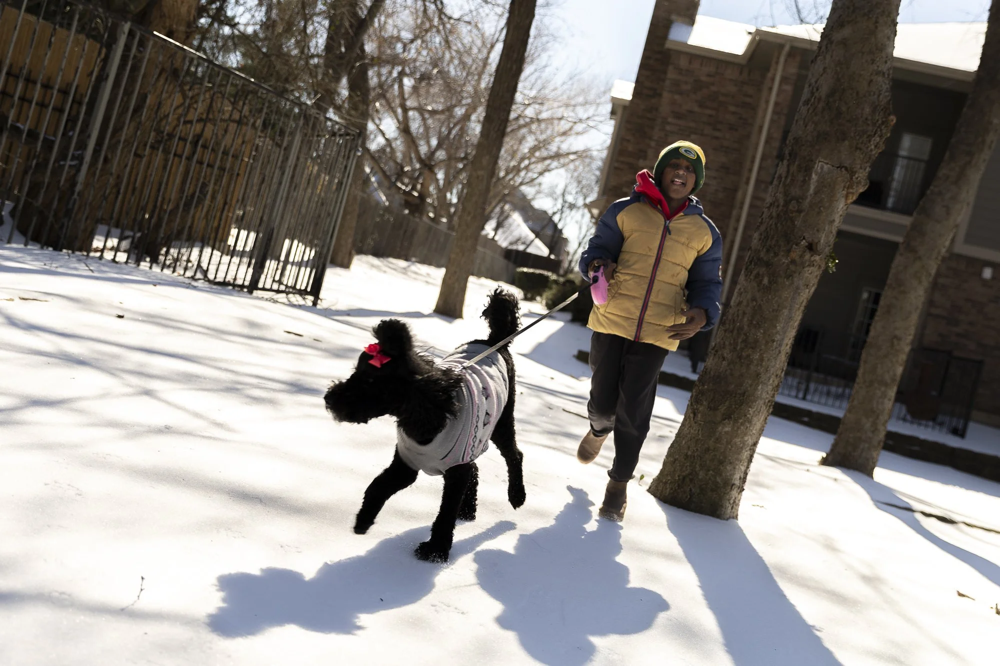 Boy's Best Friend: MCKINNEY — C.J. Carney, 11, takes his dog, Marley, out to play in the snow at a park near their home in McKinney, Texas, on Jan. 26. The McKinney Independent School District shut down schools for three days due to the winter weathe